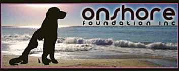 On Shore Foundation.png