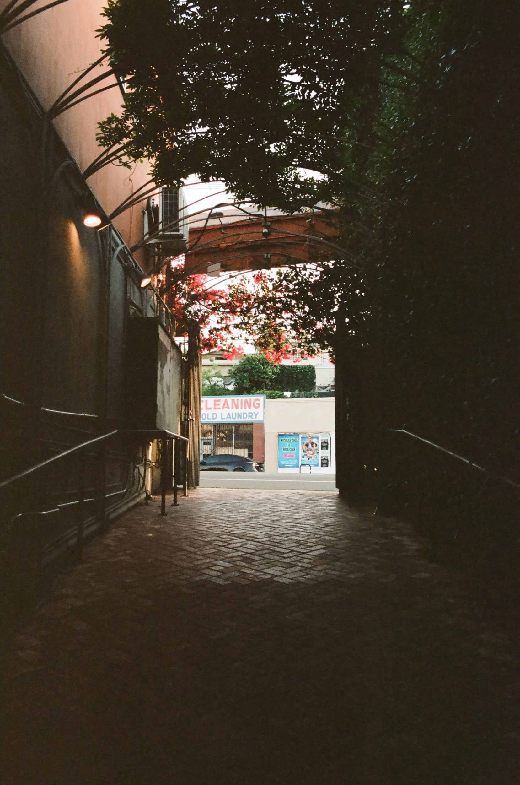 IMG_3233.jpeg