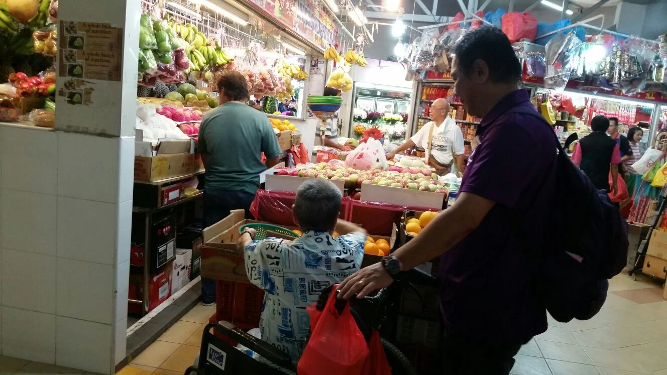 Blossom_Seeds_Grocery_Shopping.jpeg