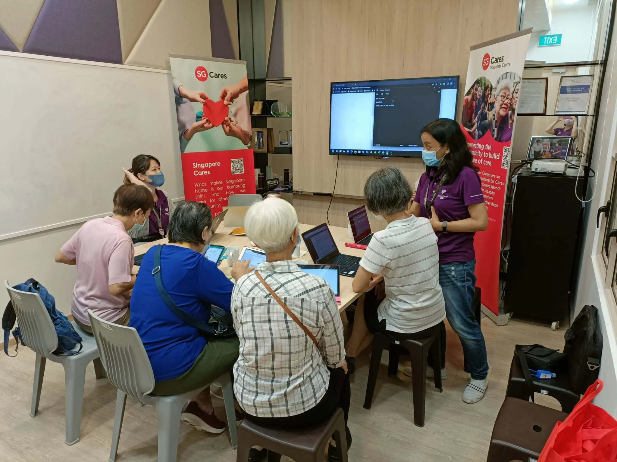 Digitalisation for Befriending