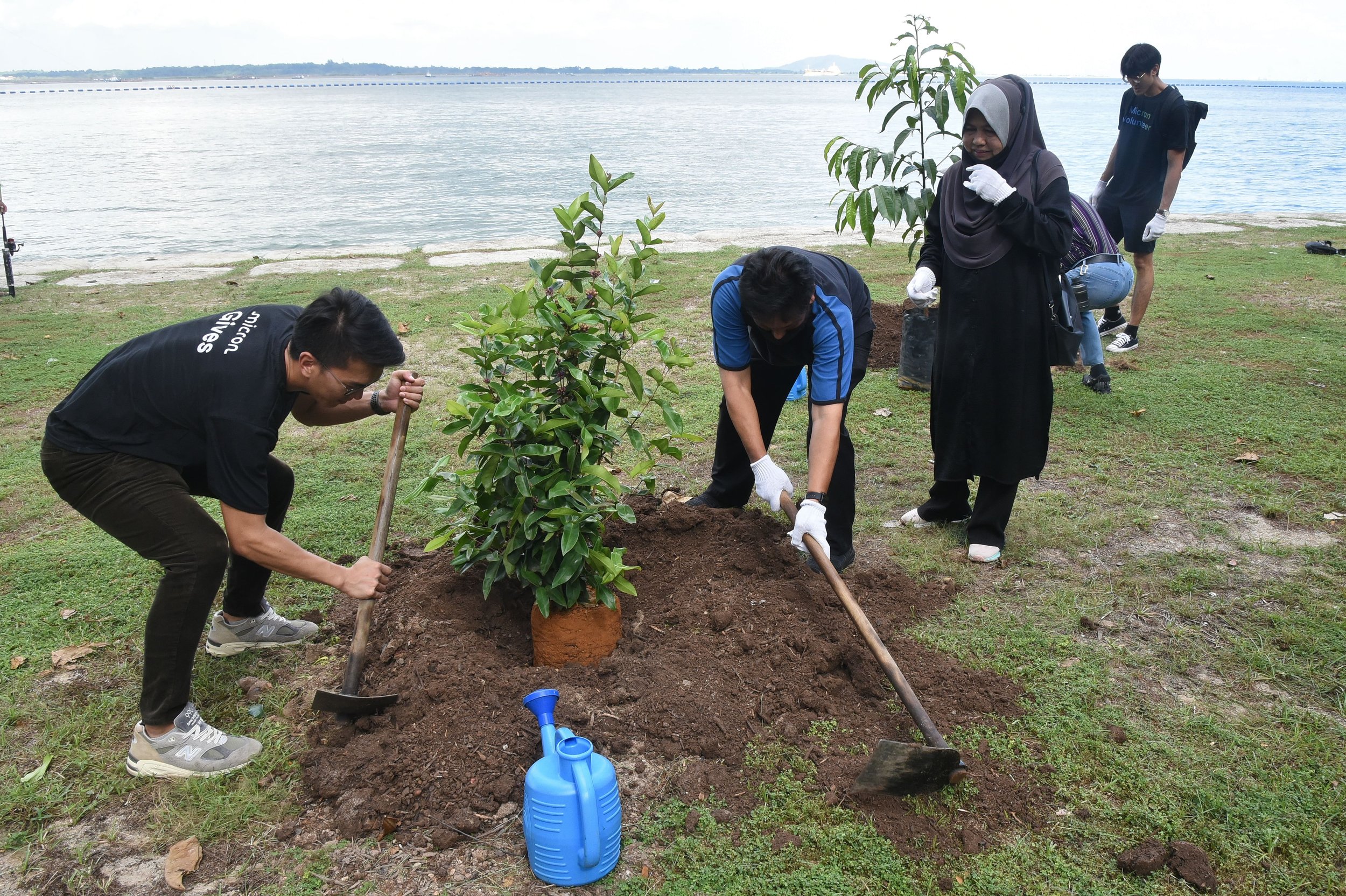 Tree Planting with Micron Technology
