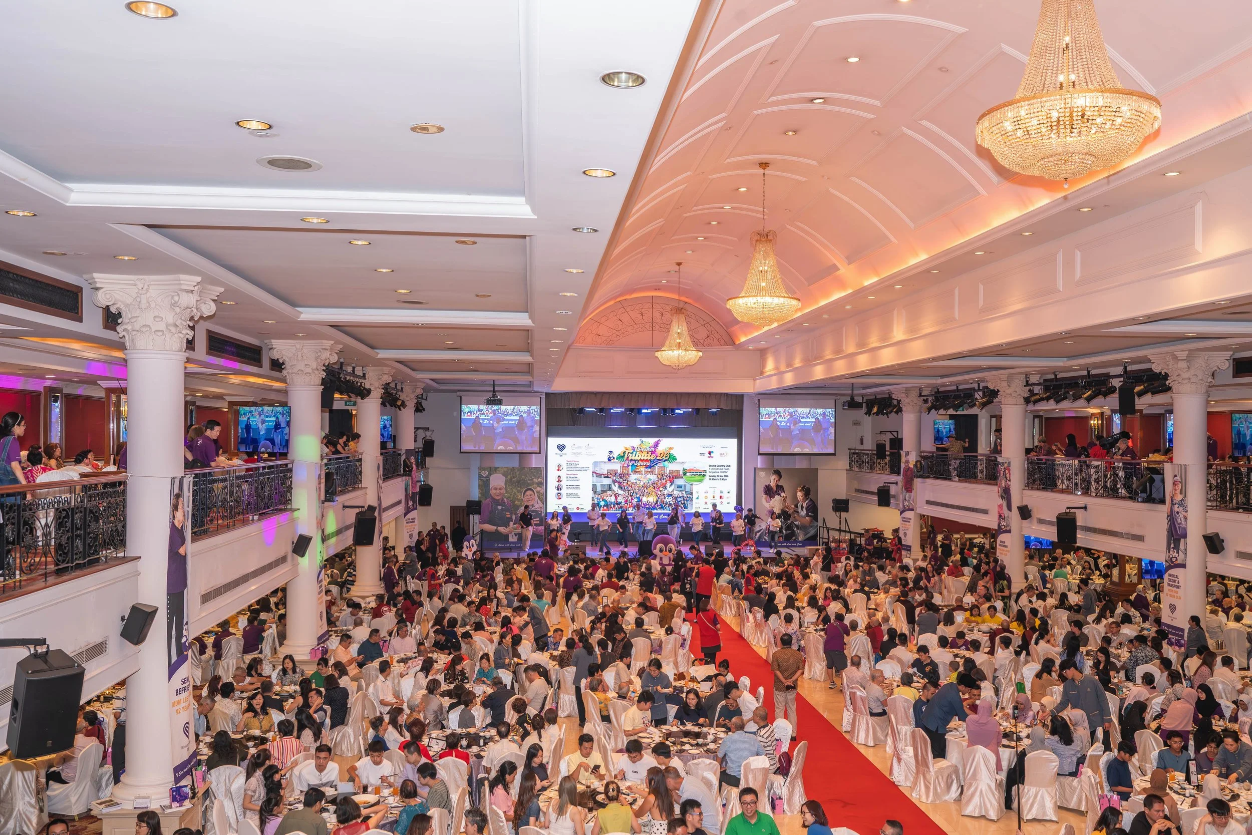 1. Full House including Upper Floor.jpeg