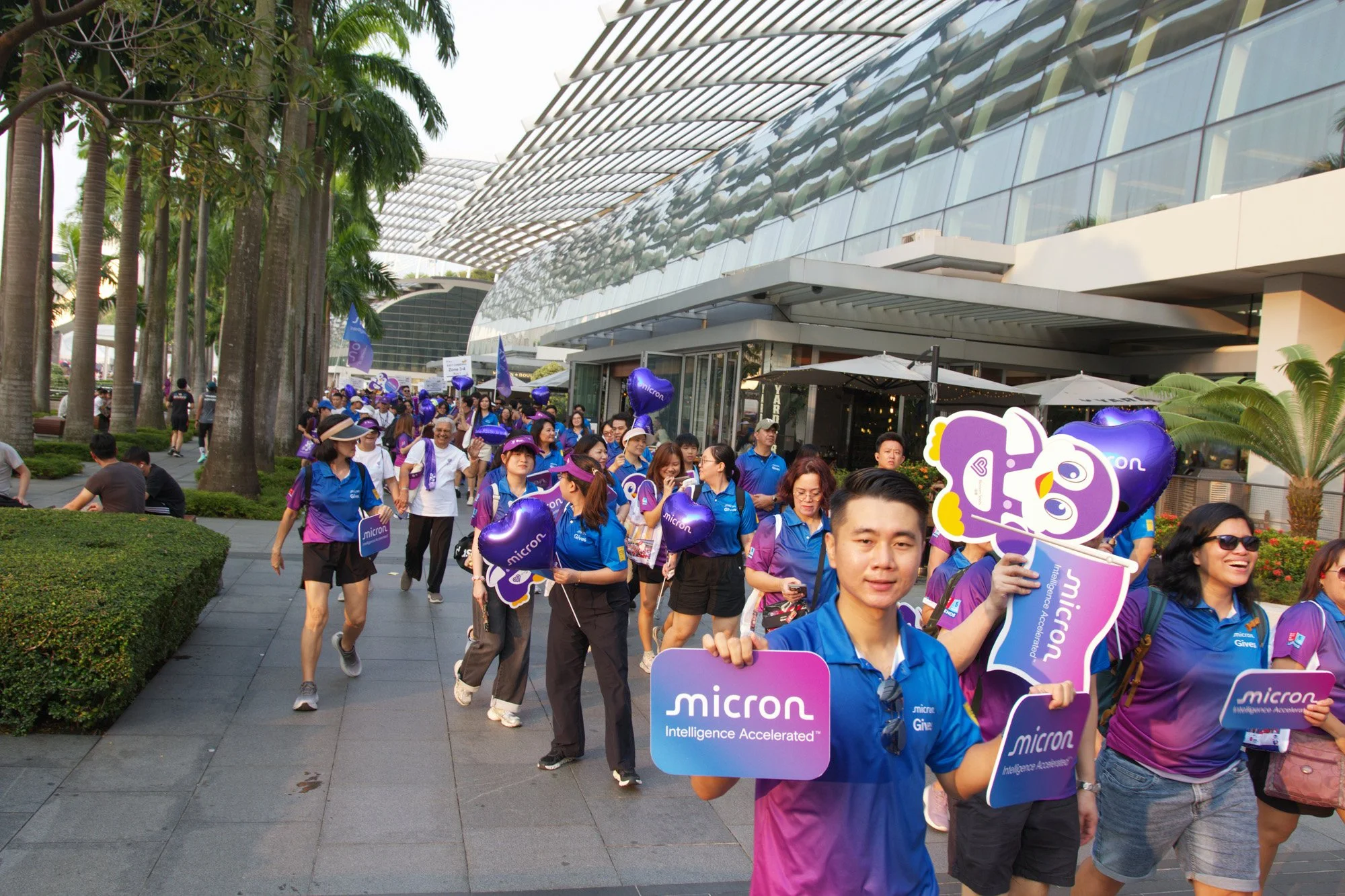 micron_movement_sunny (2).jpg
