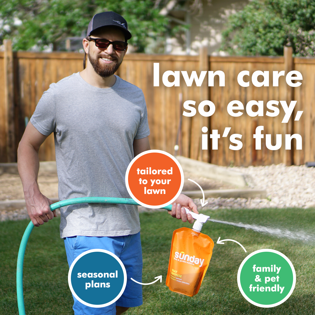 Primer-Sunday-Images How It Works-20.09.25_06.png