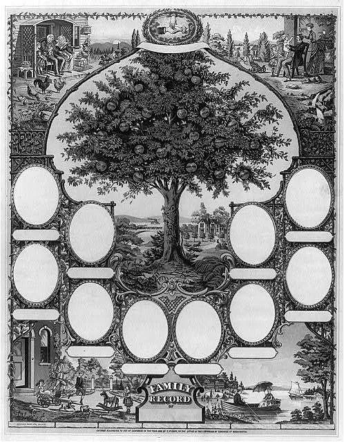   After Ancestry: How TreeScope Is Changing IGG Casework