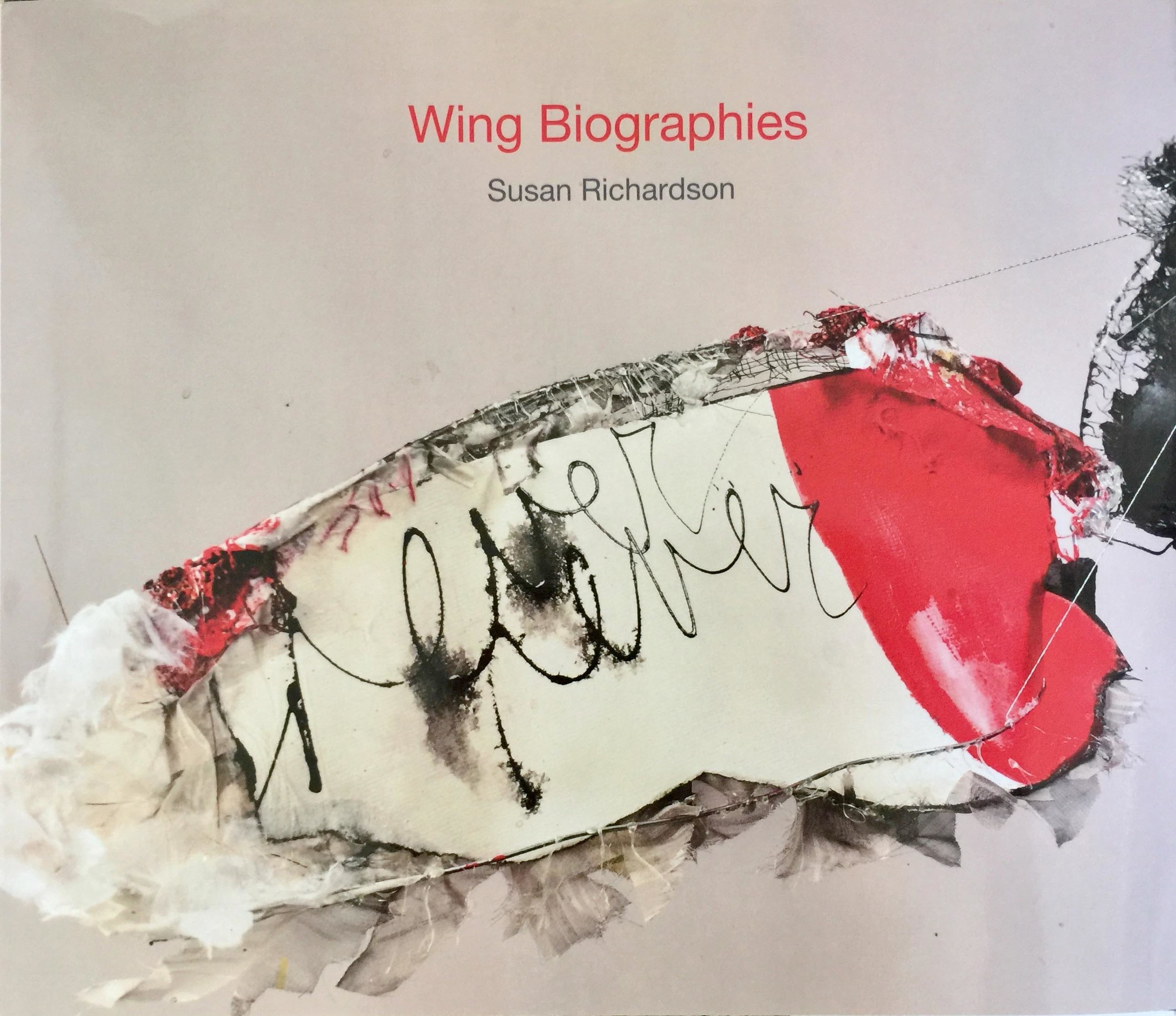 Cardboard Wings — Susan Richardson Art