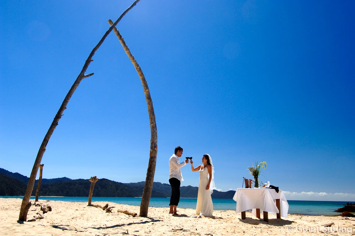 Awaroa wedding couple.jpg