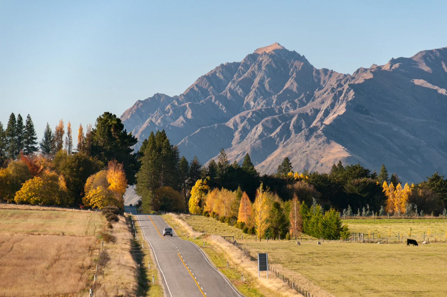 Autumn Road central Otago