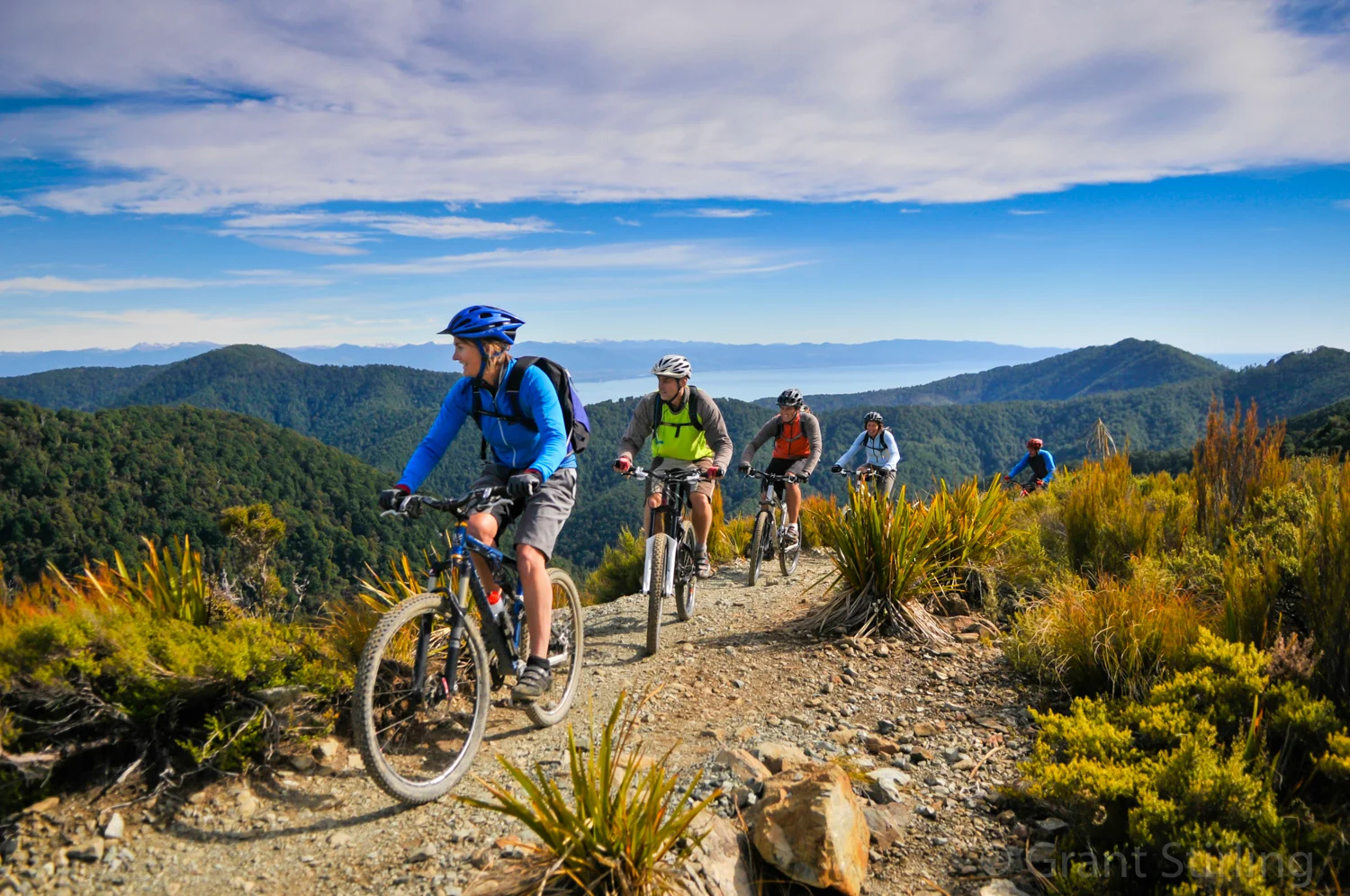 Sport MTB-1243.jpg