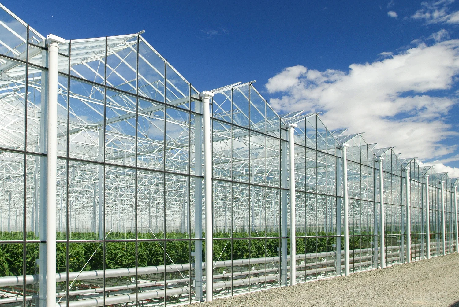 Glass house