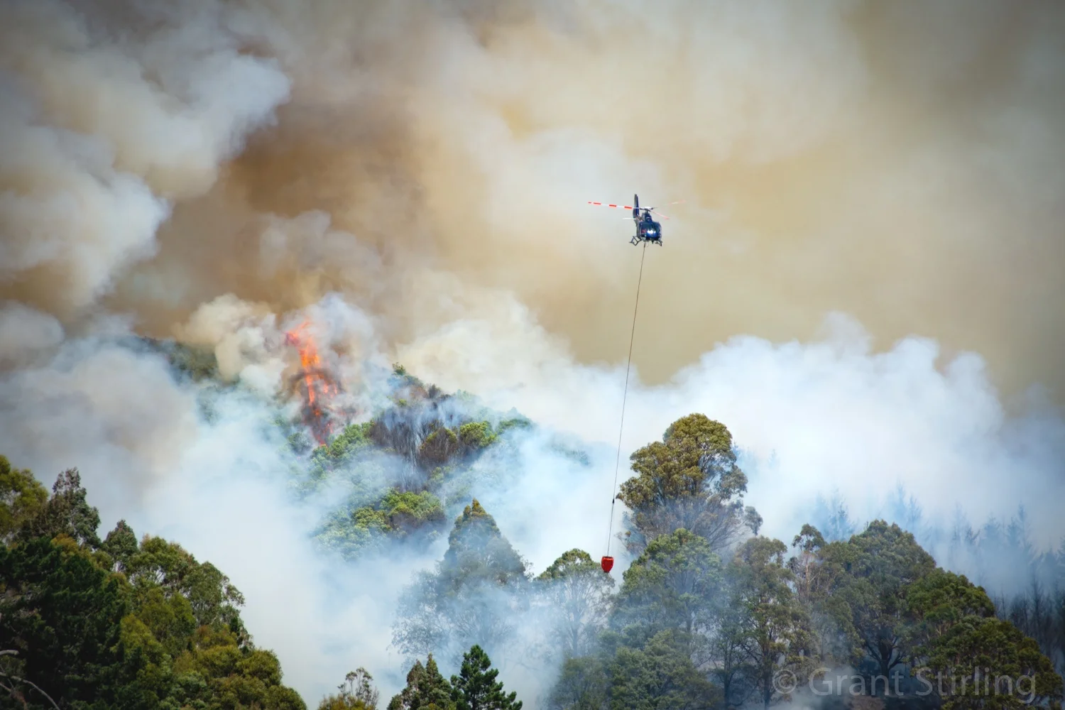 Nelson wild fire