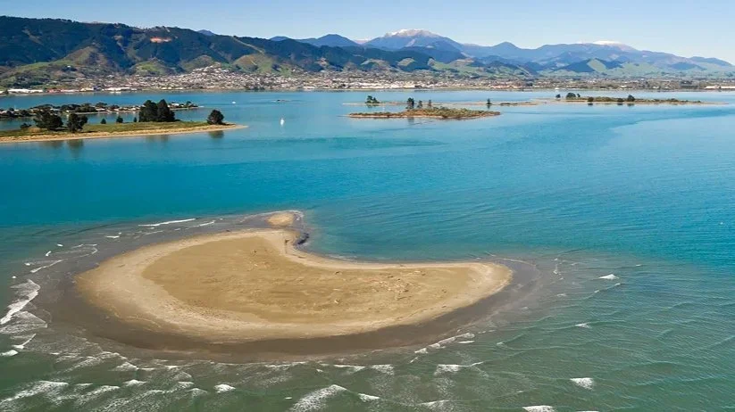 Island in Waimea Estuary (Copy)
