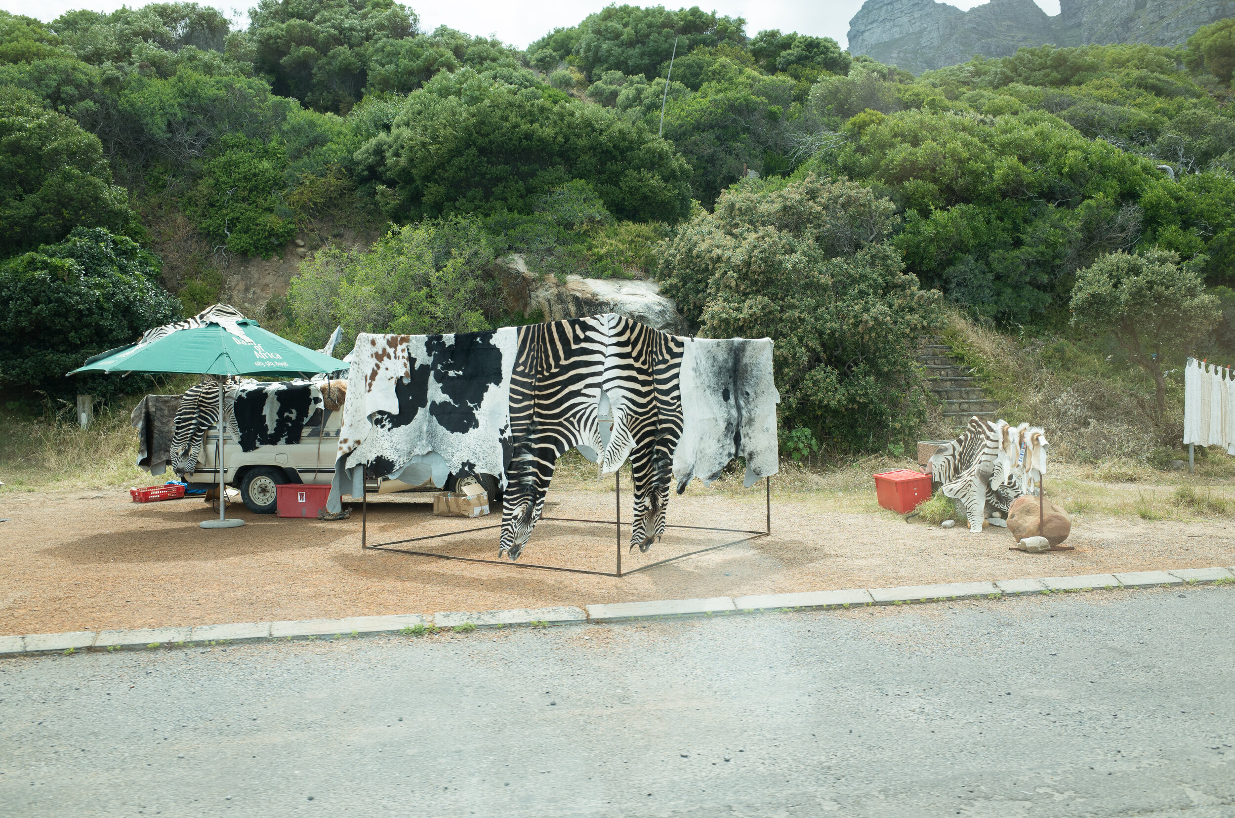 cape town for book (7 of 16).jpg