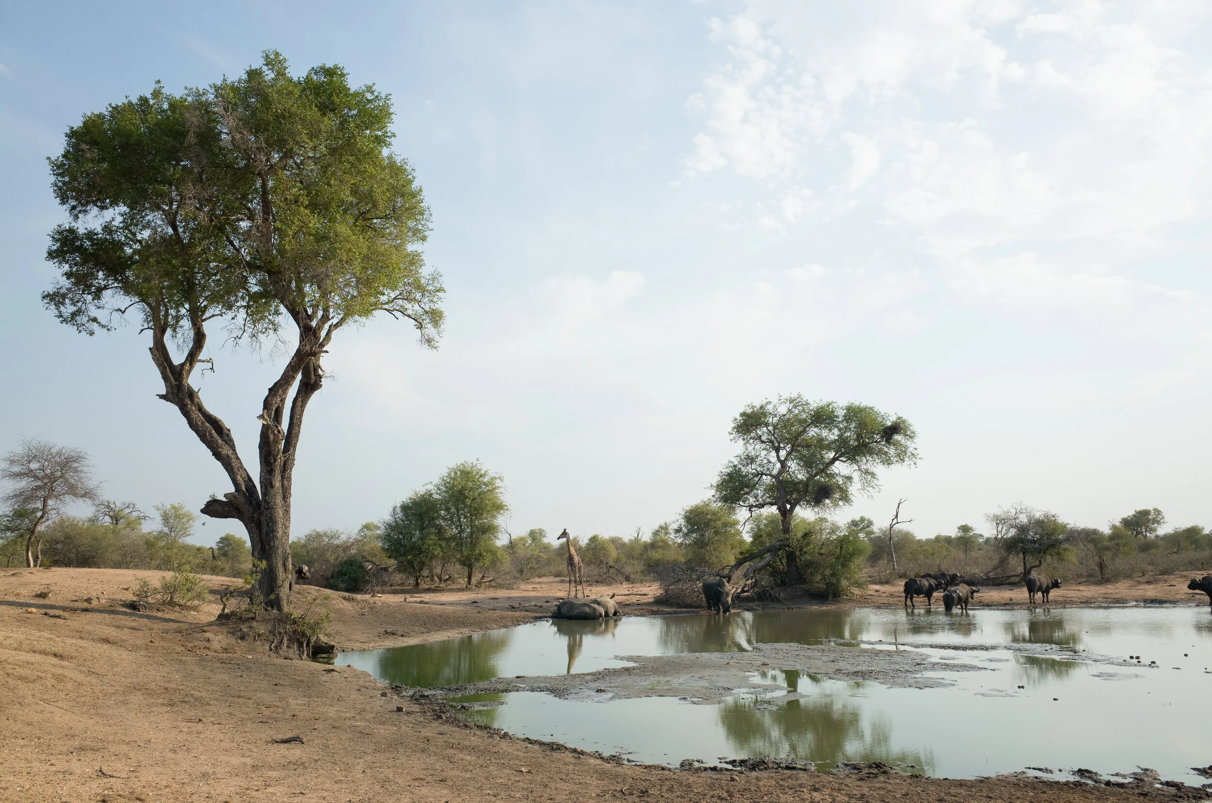 tanda tula for book 2 (2 of 20).jpg