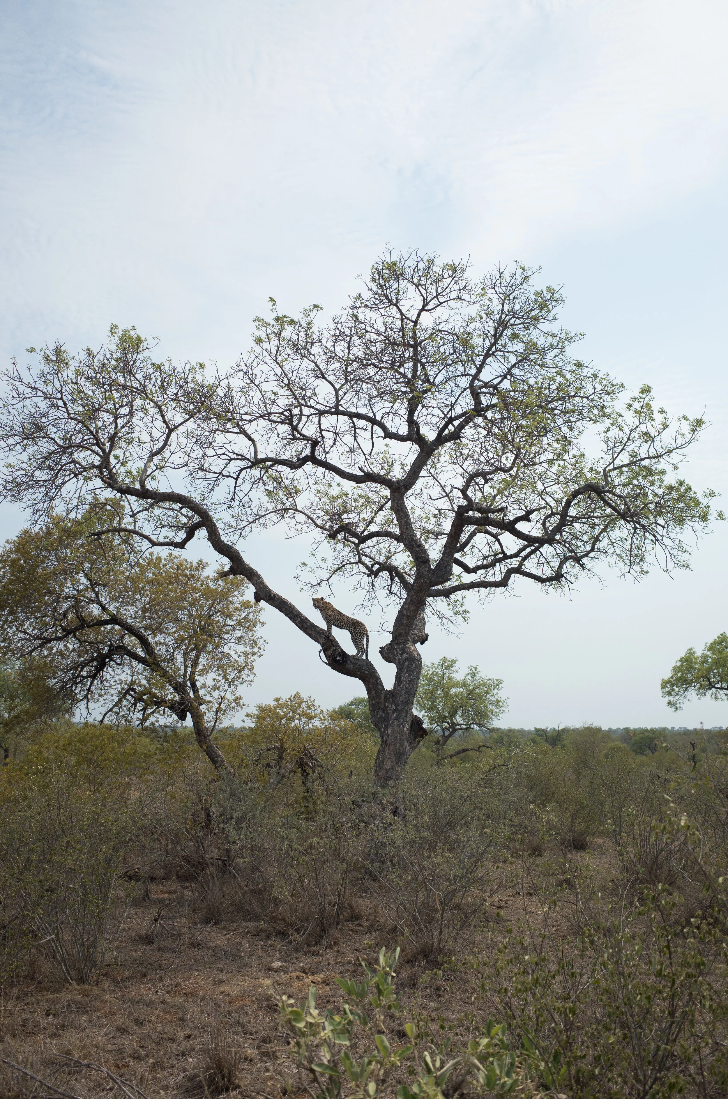 tanda tula for book (28 of 41).jpg