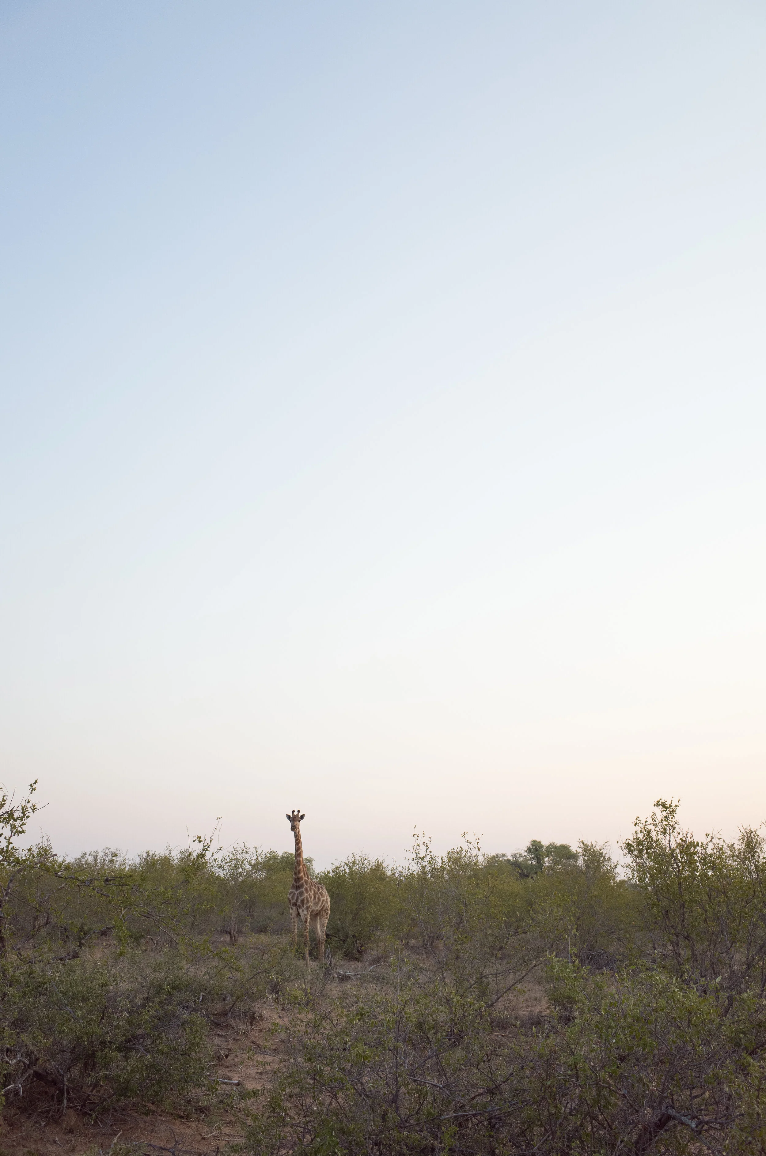 tanda tula for book 2 (6 of 20).jpg