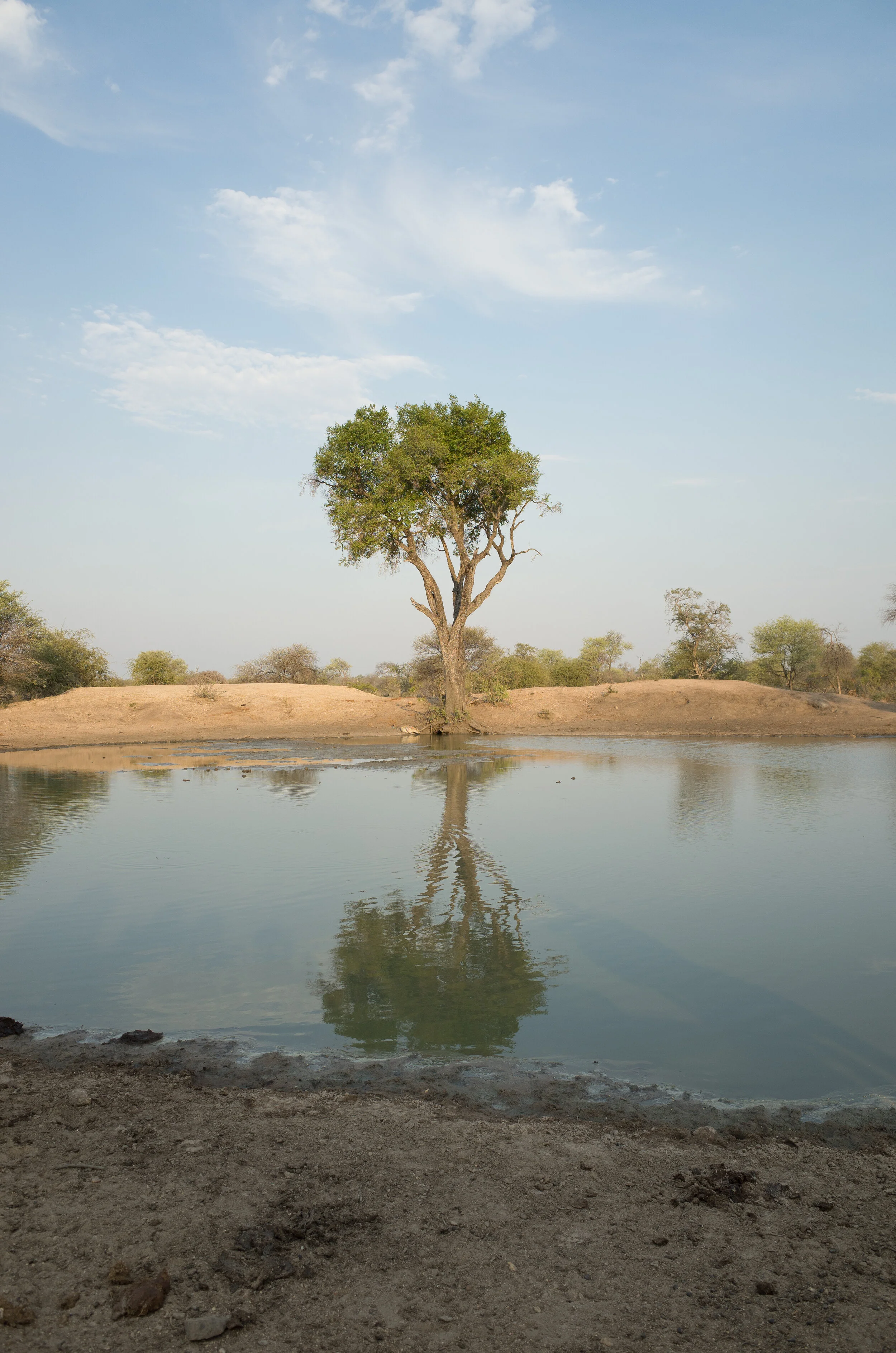 tanda tula for book 2 (4 of 20).jpg