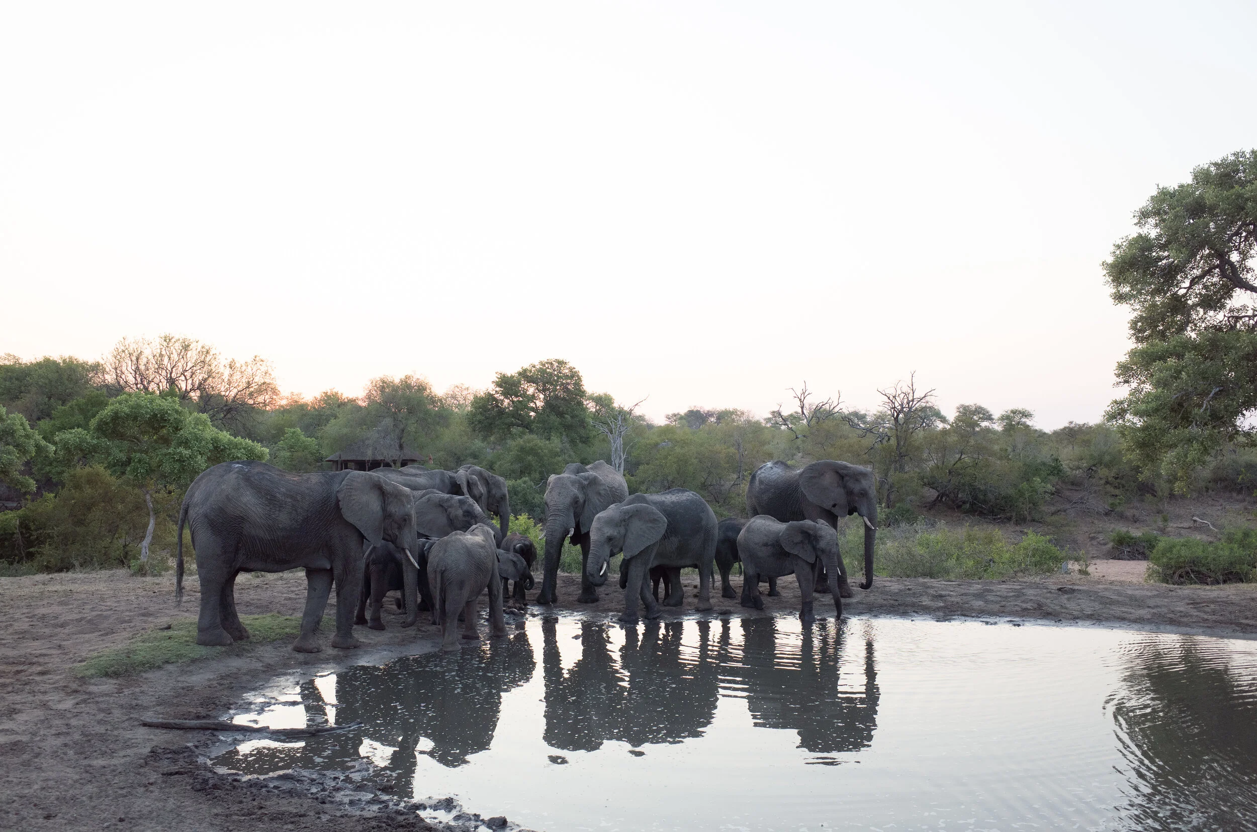 tanda tula for book 2 (11 of 20).jpg