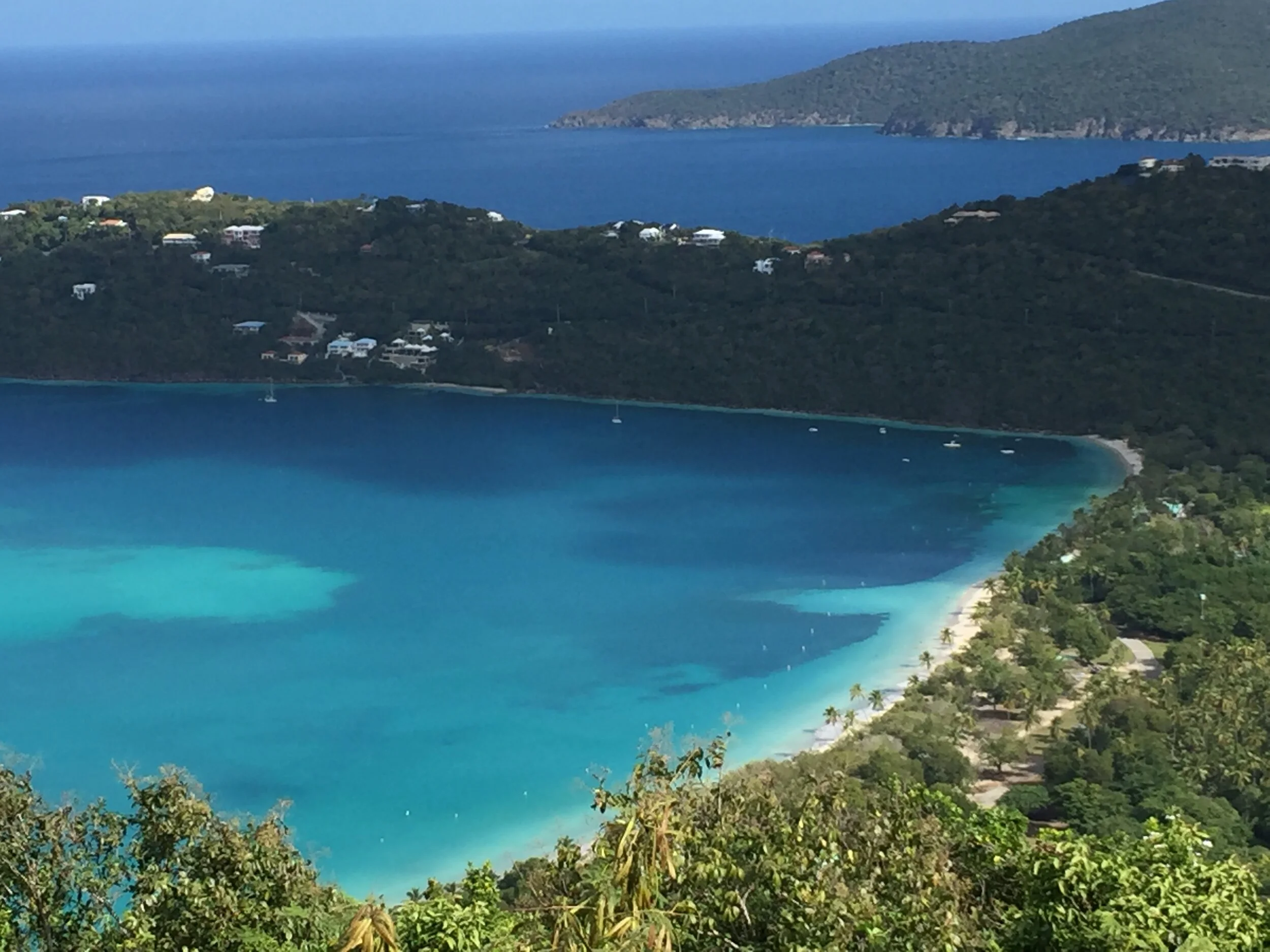 File Jan 29, 10 25 59 AM.jpeg