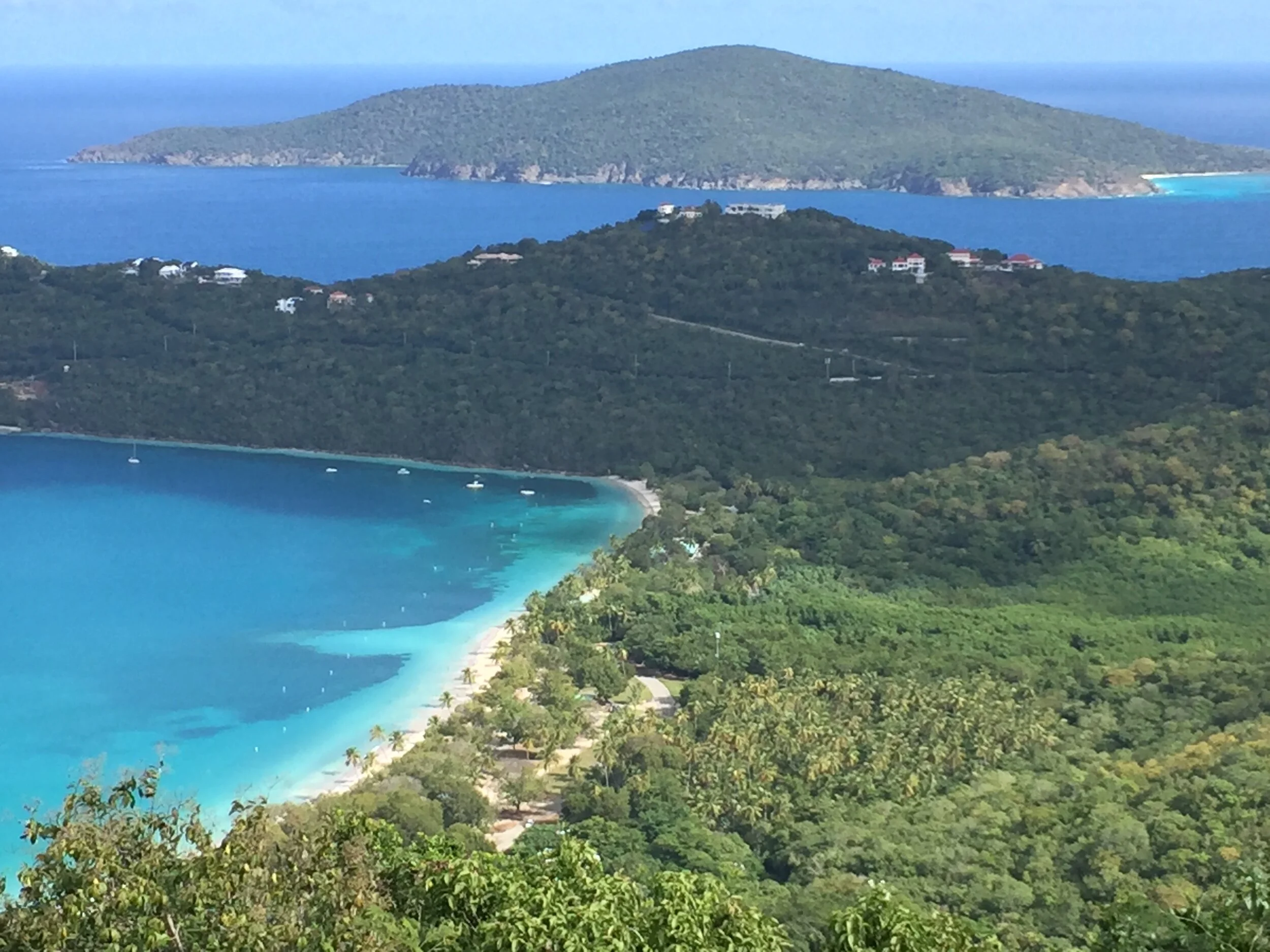 File Jan 29, 10 26 19 AM.jpeg