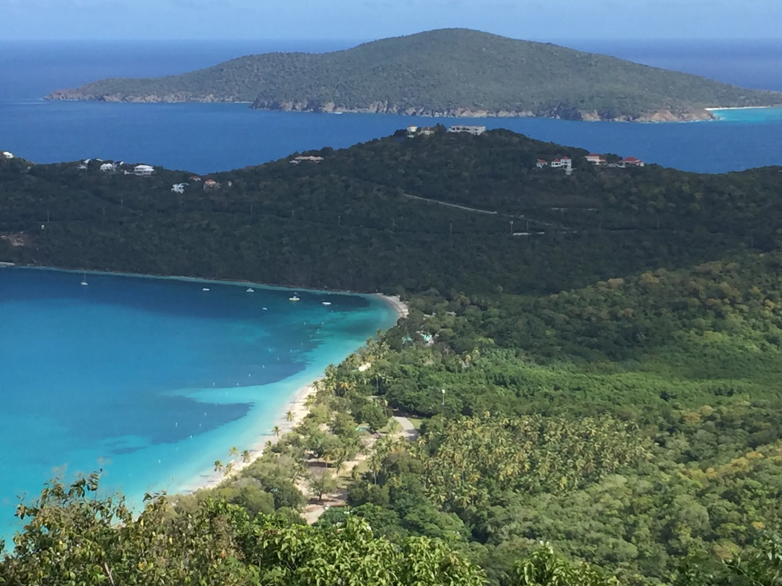 File Jan 29, 10 26 45 AM.jpeg