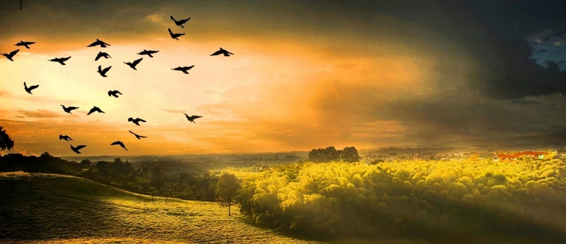 cropped-mystical-and-peaceful-landscape-sky-mxlnhep5kmud6qdep1d25zu46t3jo9y472au6m0ayw.jpg