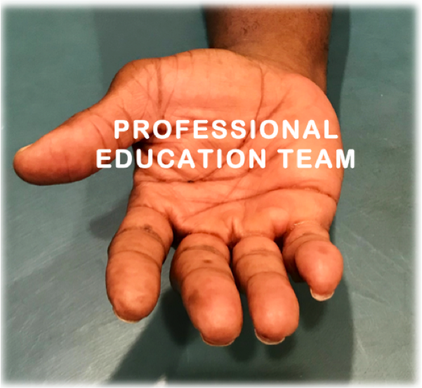Logo for Professional Education.png