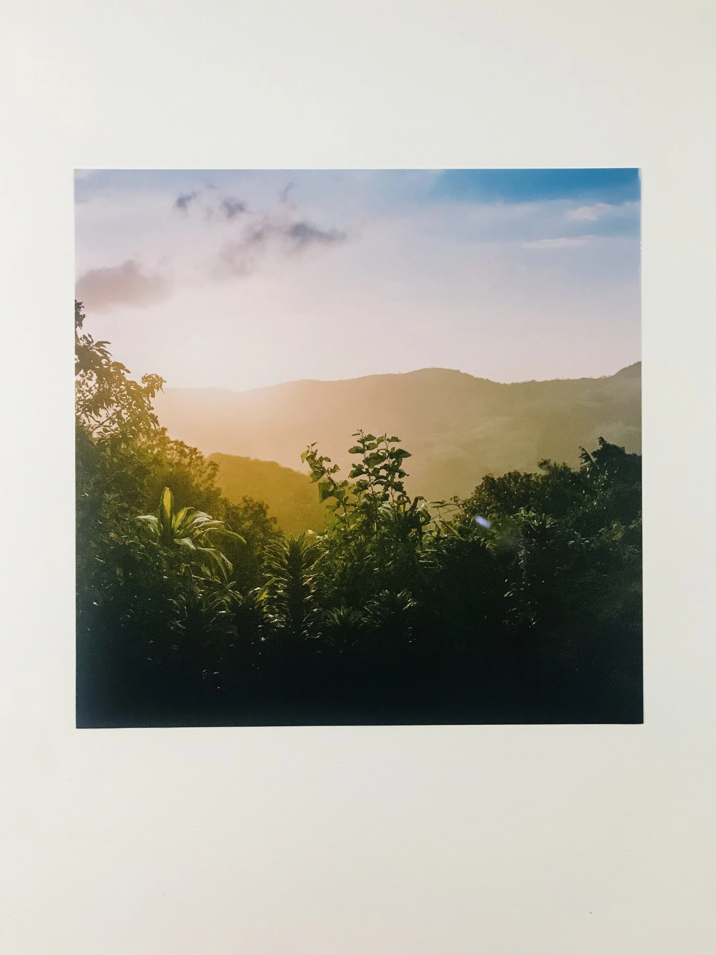 3451C655-7E6F-4B55-B240-A2590ECF594D