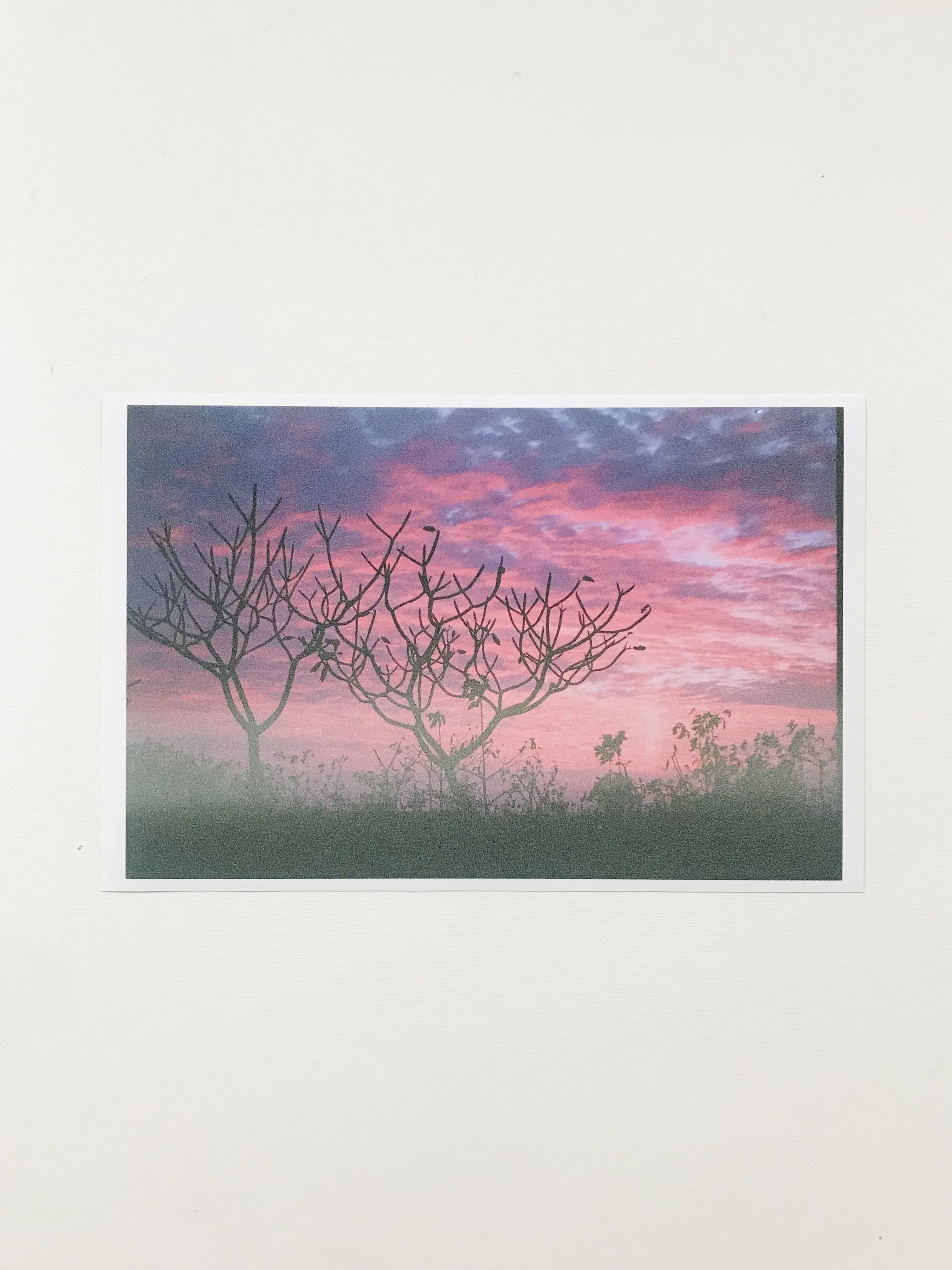 E70FBBDA-5446-435F-A312-E96F82AF27F4