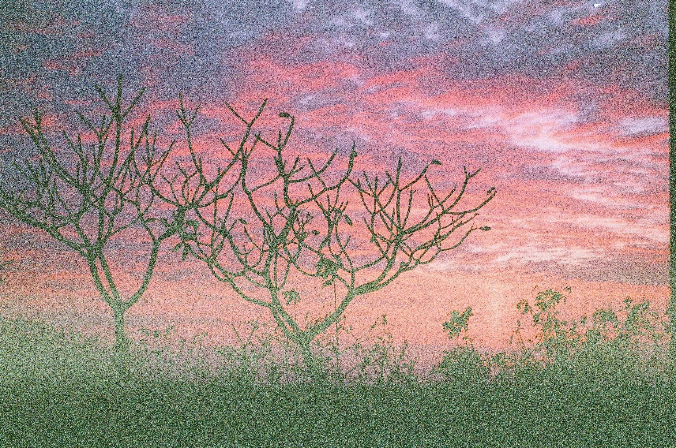 AF0FEA16-ED71-49F5-B46E-764709B24D06