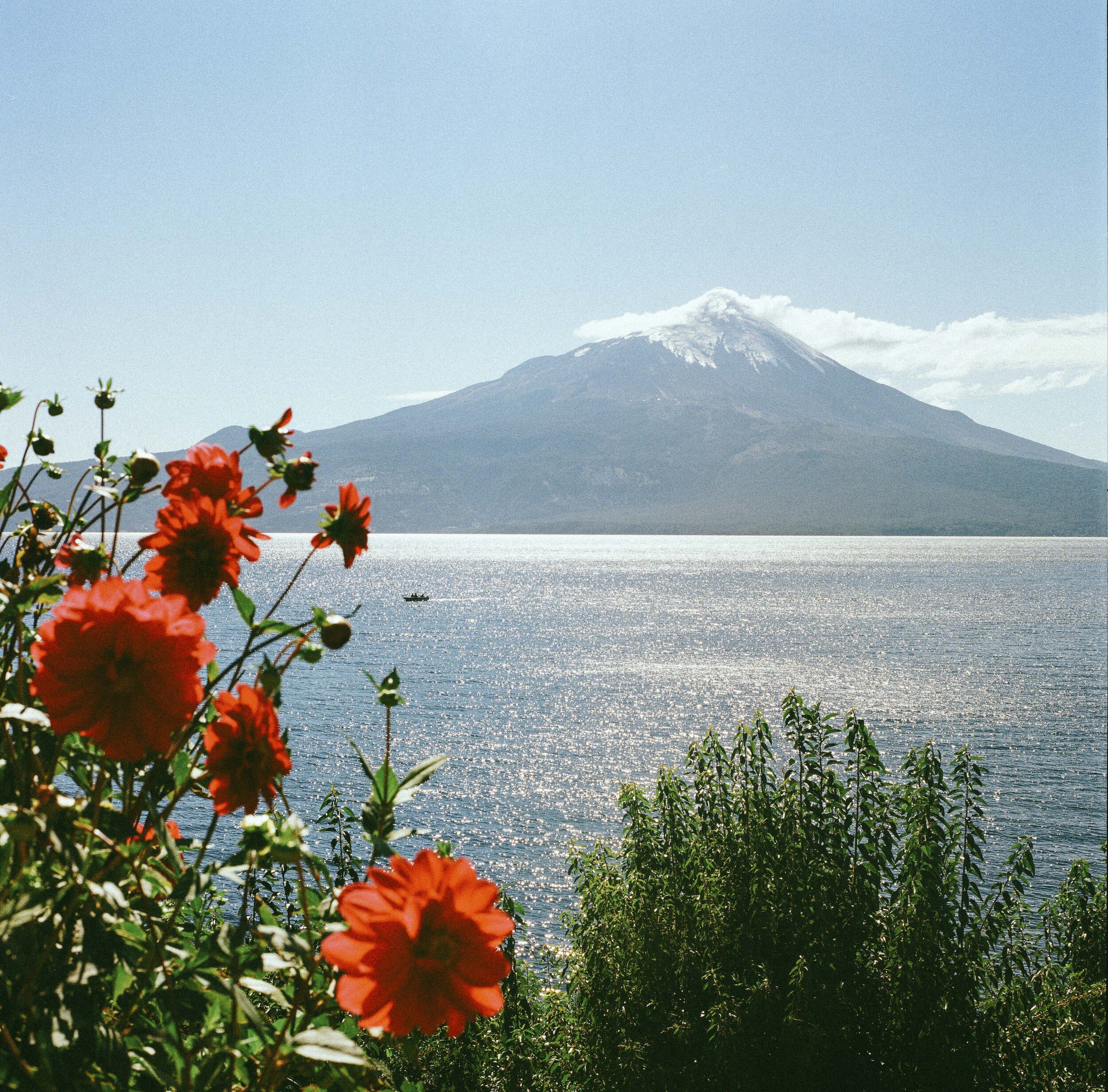 Volcan Osorno from Afar