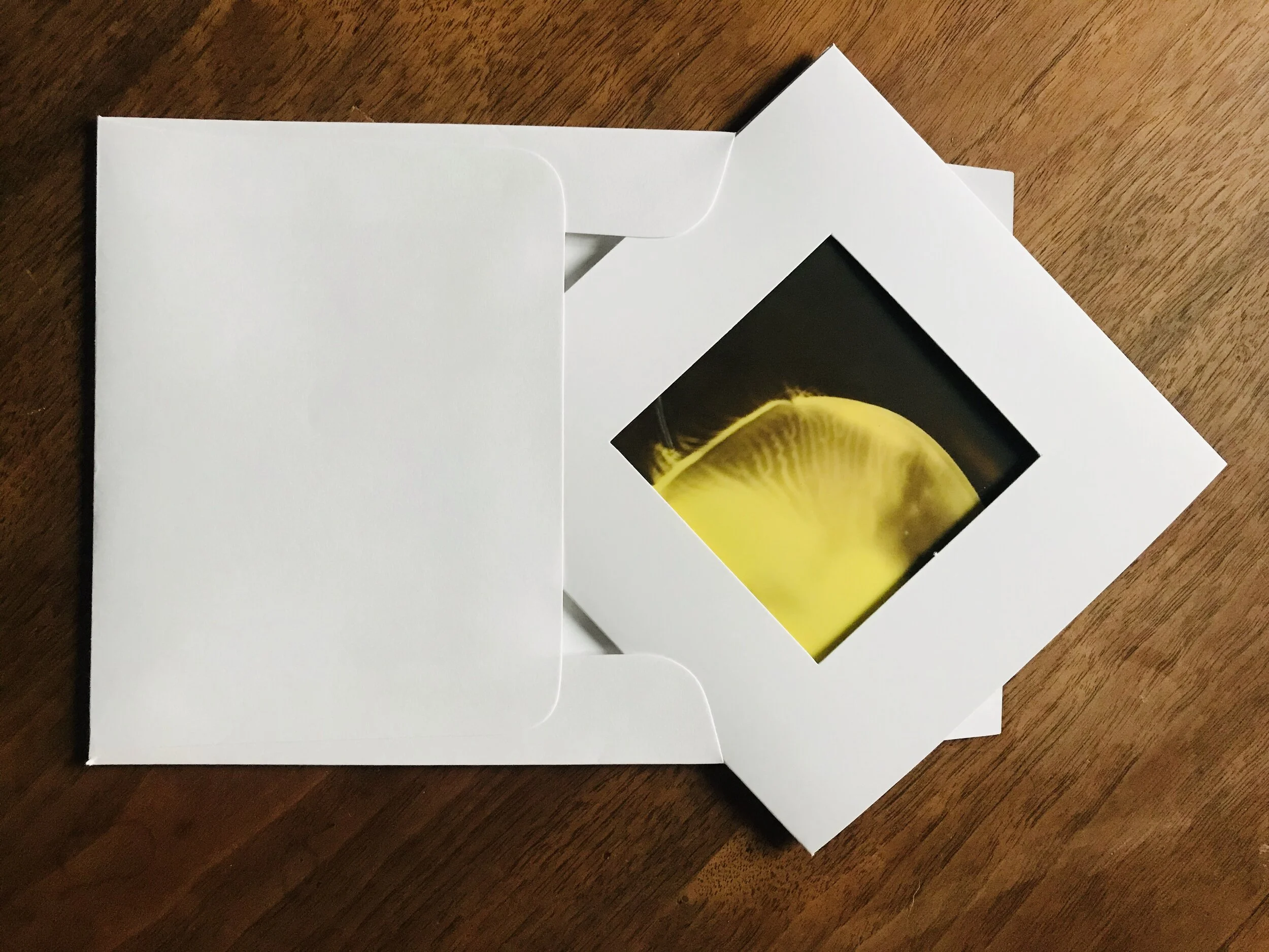 DF768DE6-EAF3-4C97-8A64-13BBA79C6171