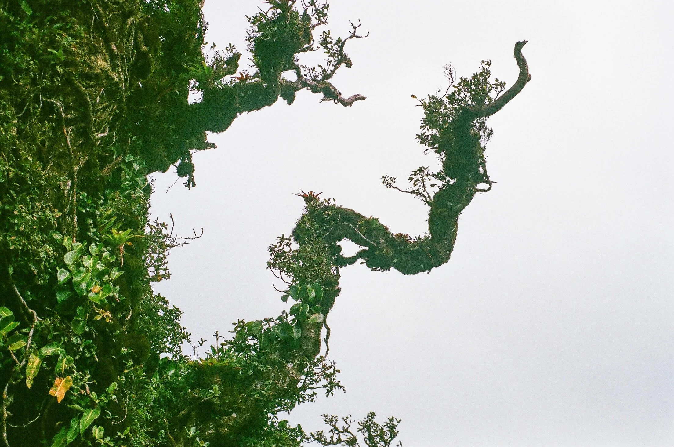 AF028268-FFB6-4EB1-A31F-48B2B4EA98AD