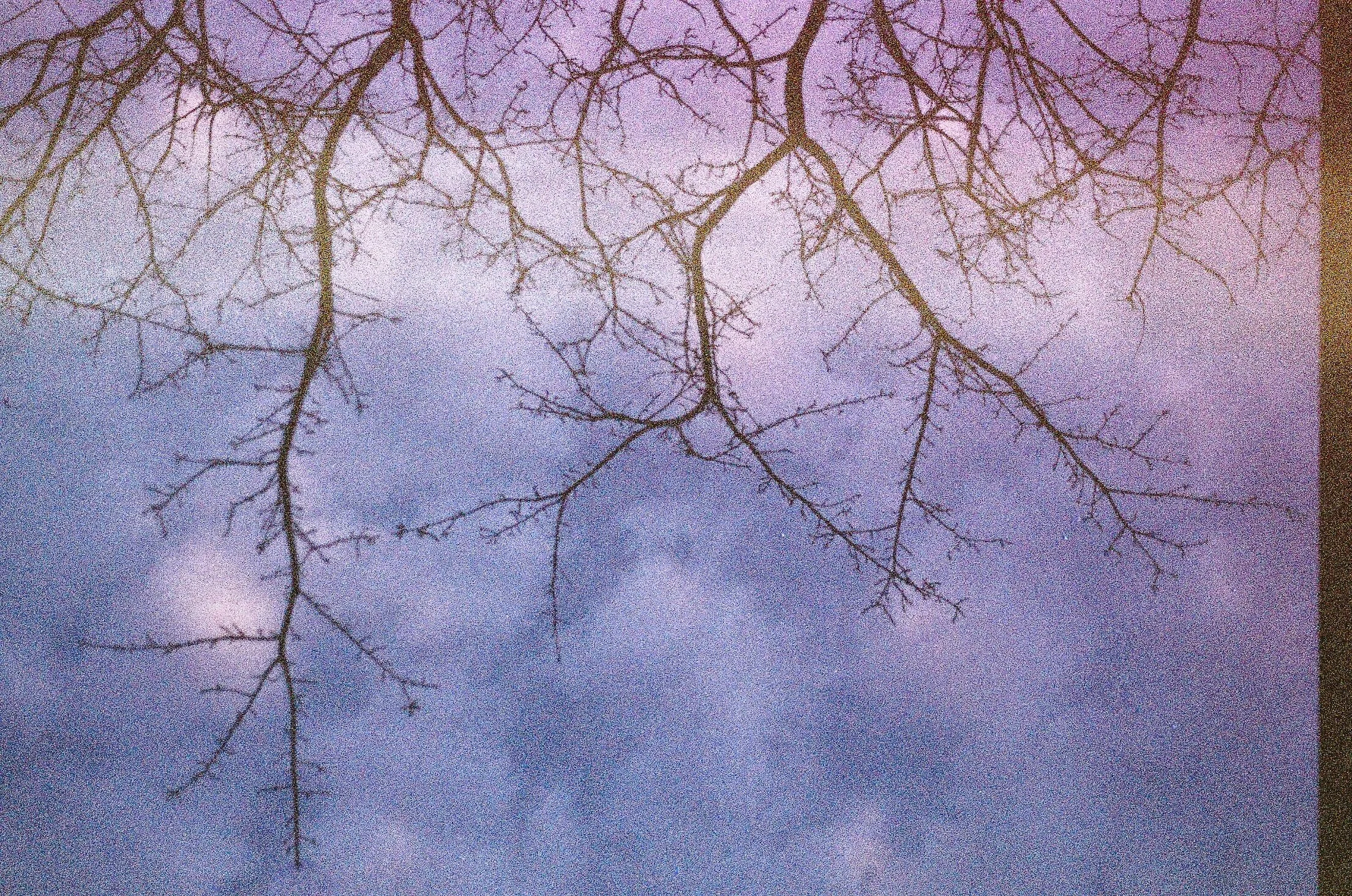 647756B7-0459-47CC-9DC9-1188E5B1B1B8