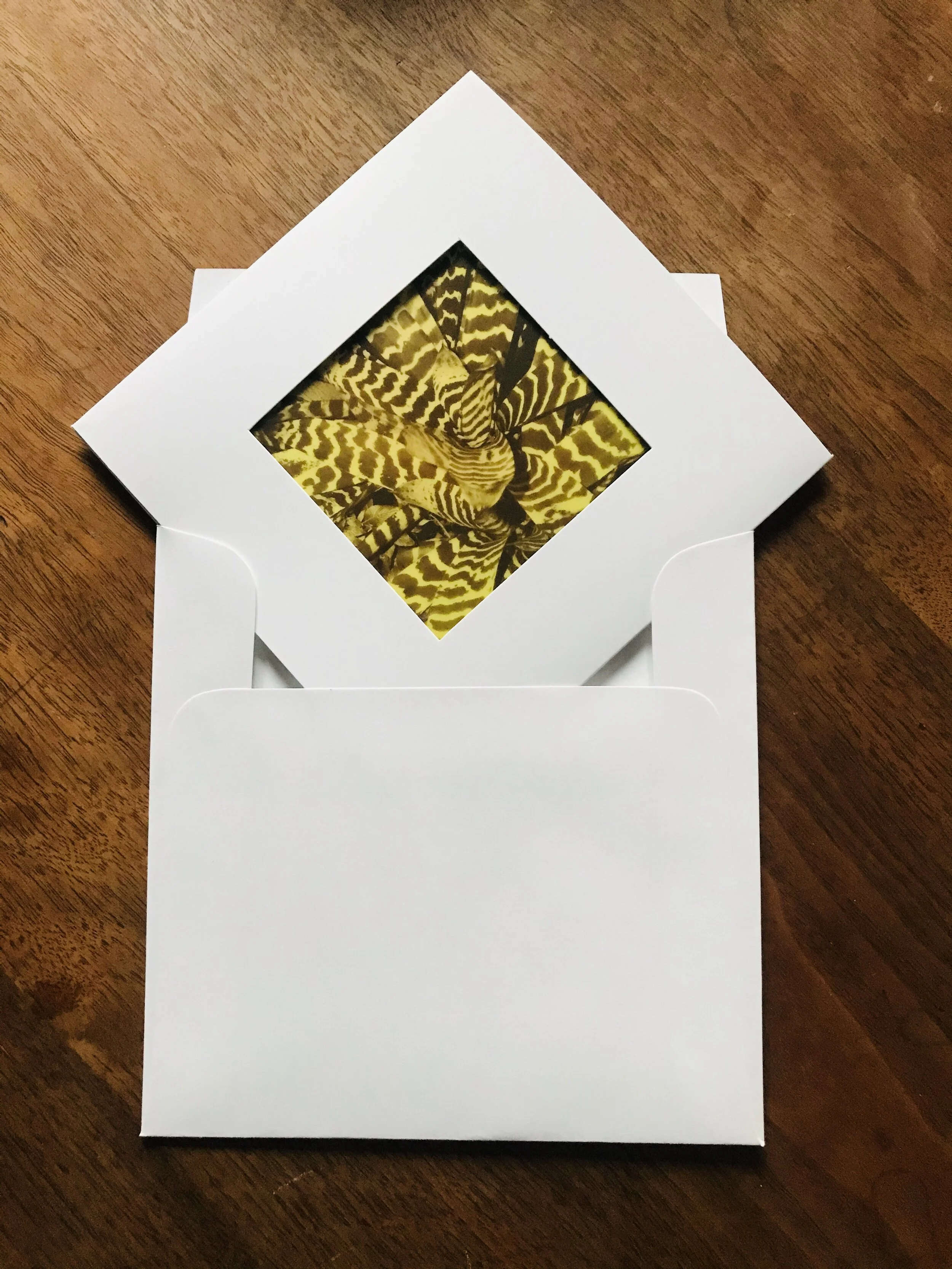 D9A9B585-523E-466E-B25C-4A6D37CAF7F3