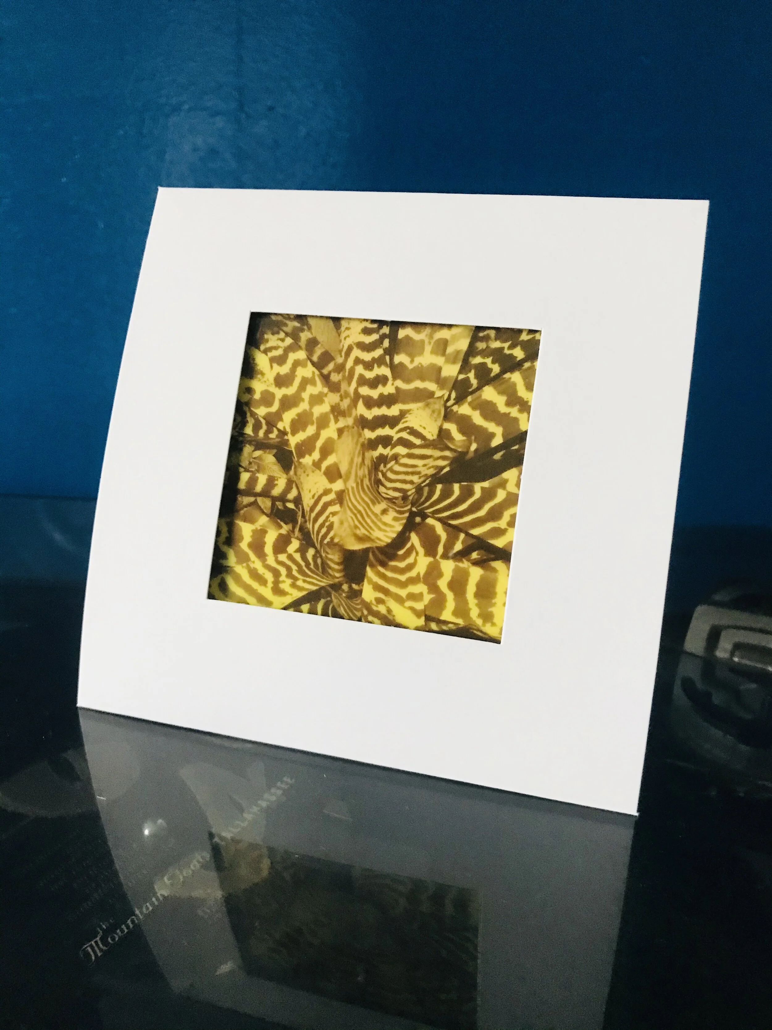 1C5E054A-8C78-480E-87F4-54C36016F668