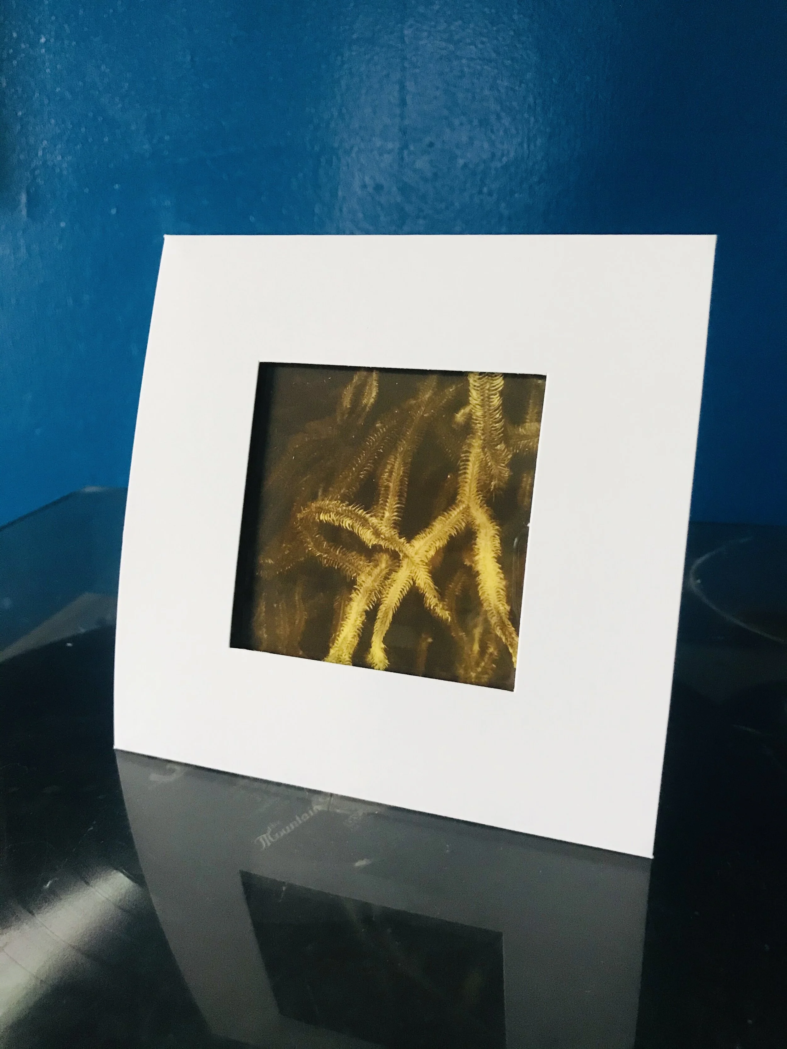 00E2DE18-9D83-4783-A700-CC3DF3043755