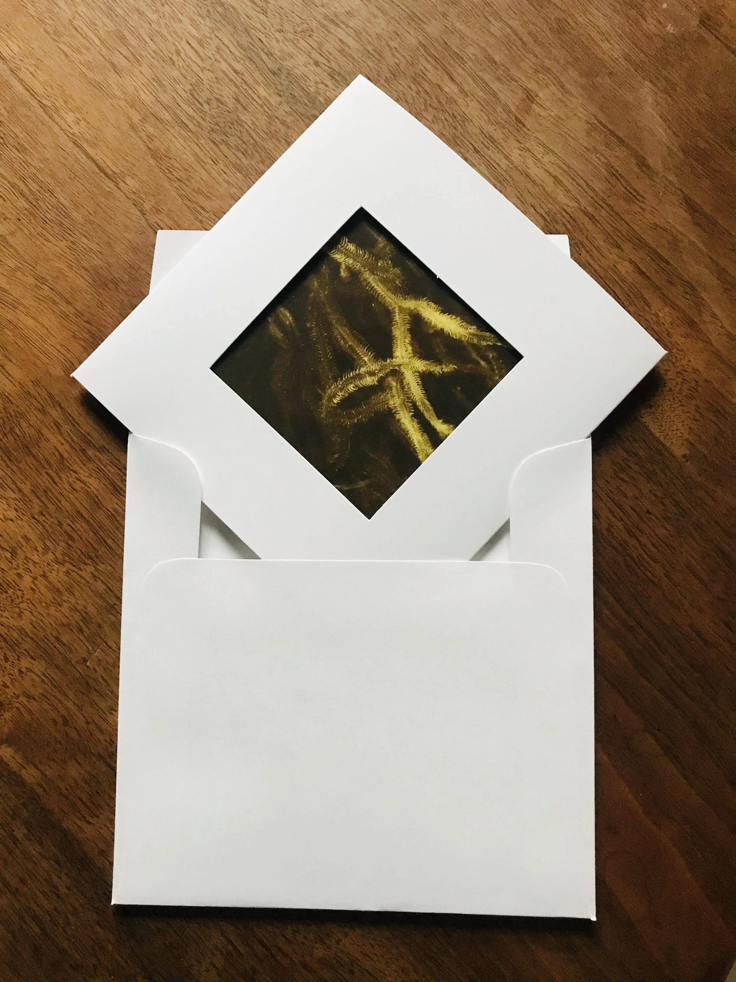 D9A0394F-A78F-431E-932B-DEE216C5A911