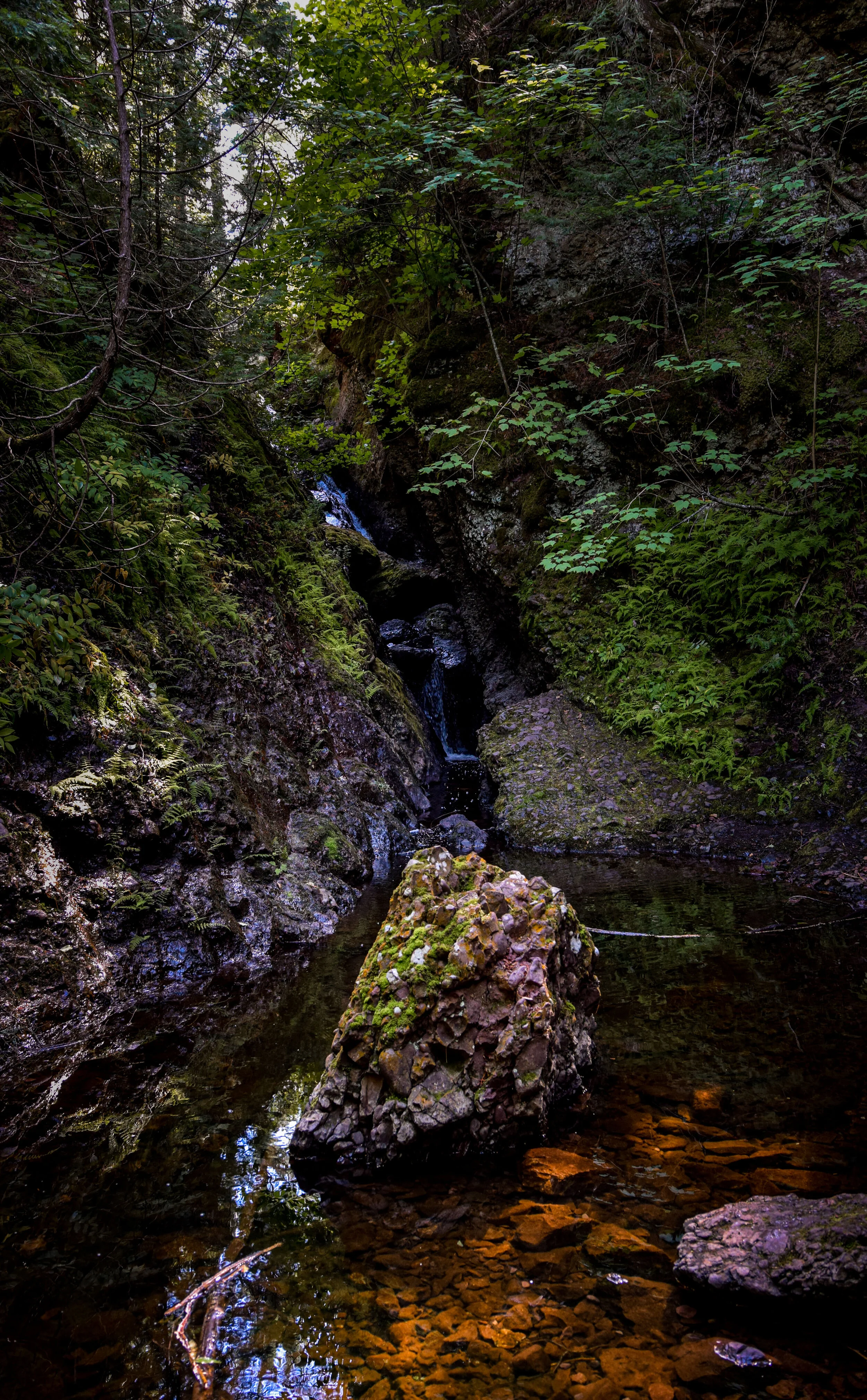 Fall UP early fall (1 of 2).JPG