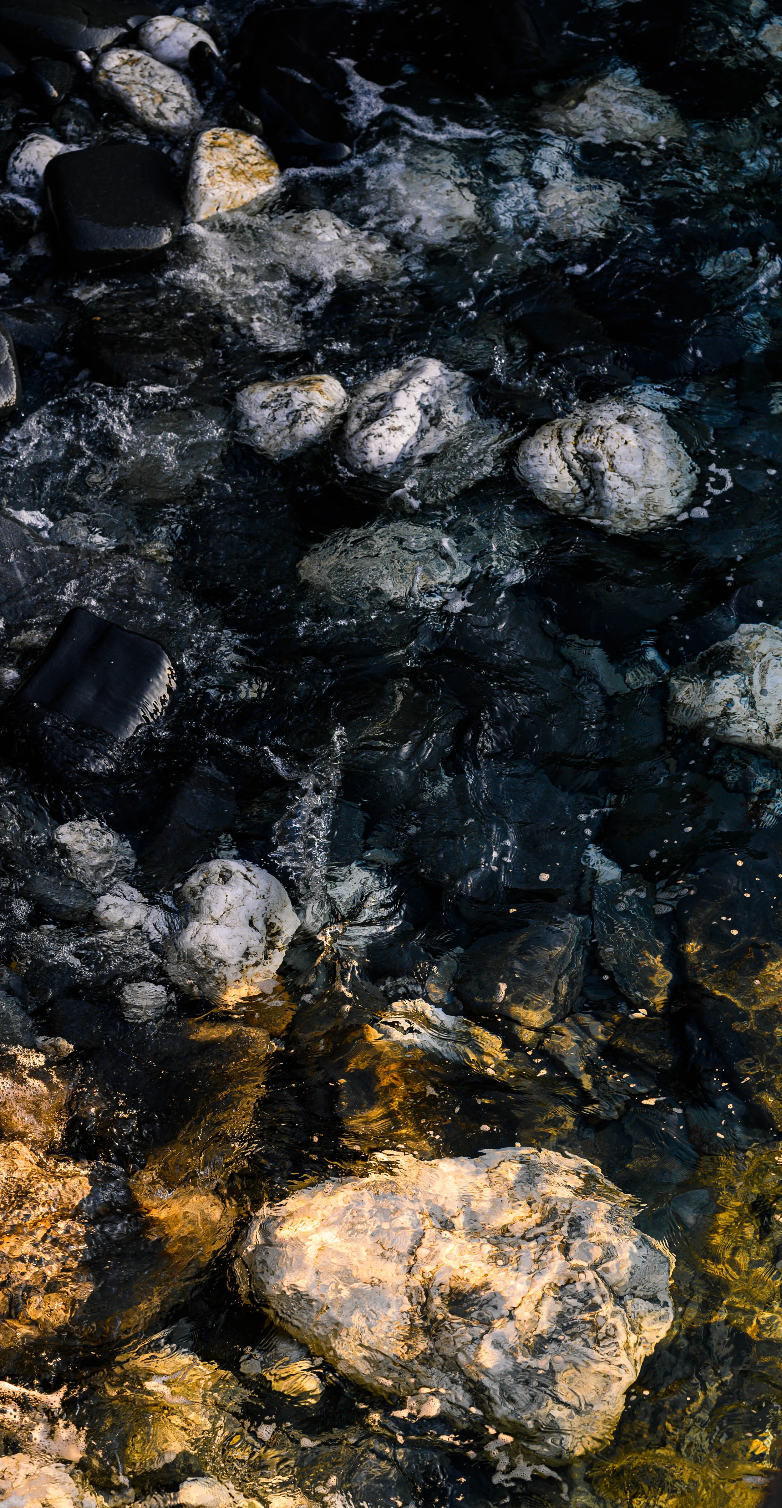 Beavertail 12.19-3.jpg