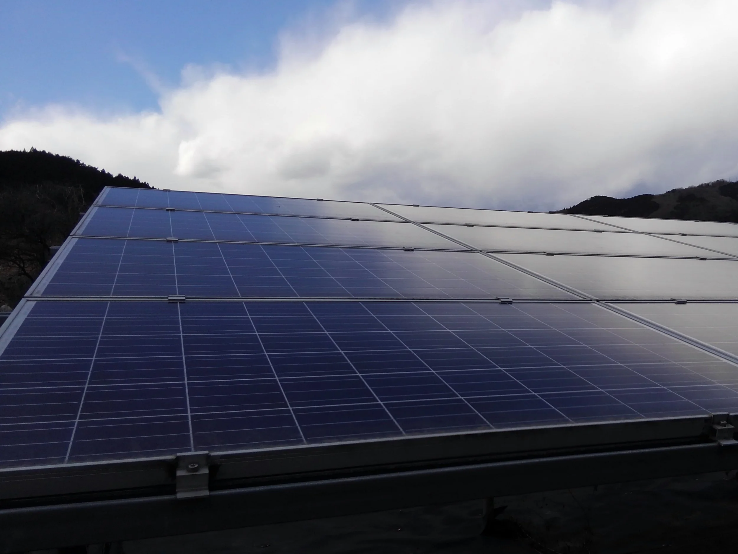 13.パネル写真【ブロック5左】 (1) (1).JPG