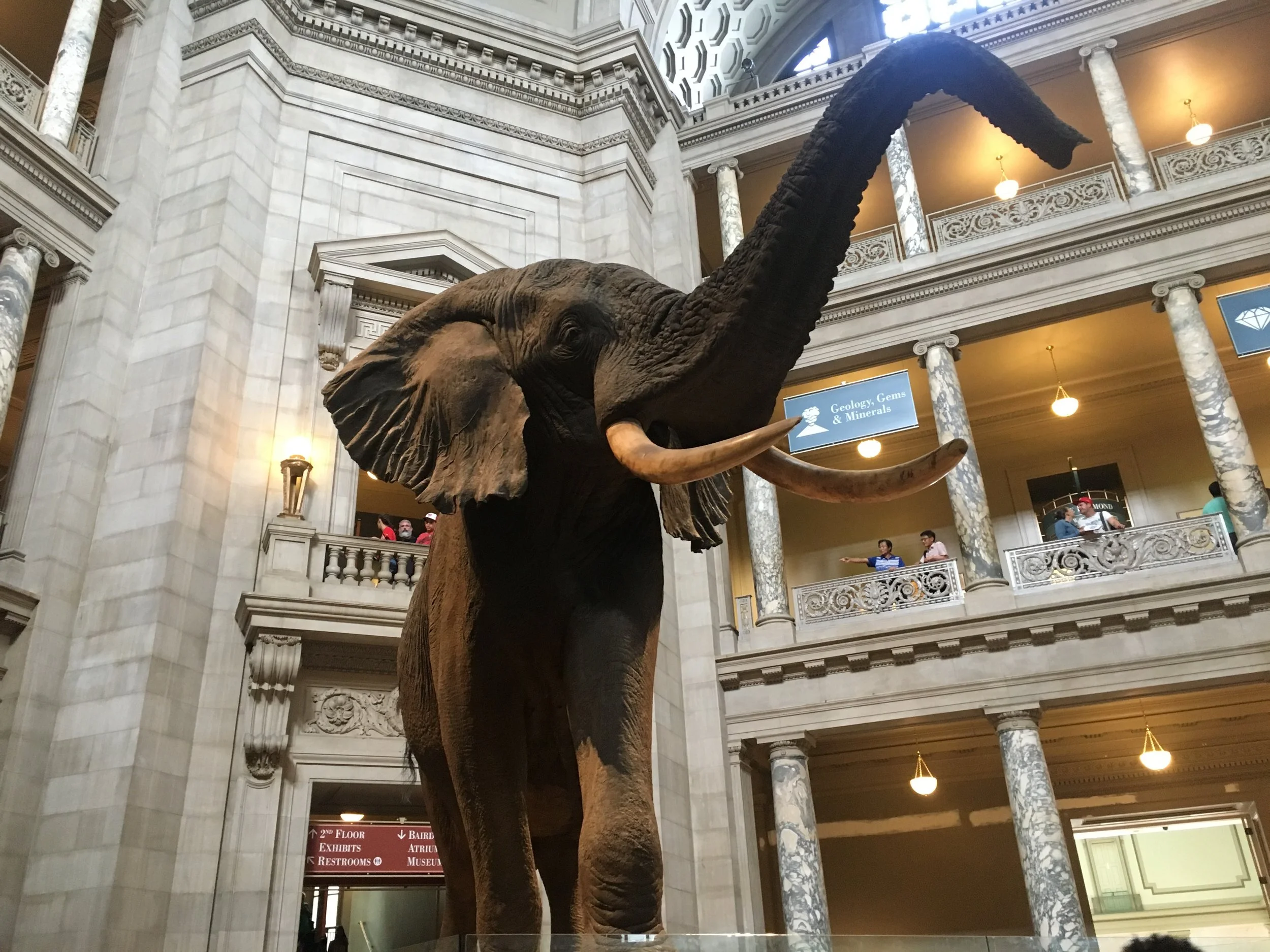 This was at the National Museum of Natural History.