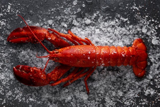 Lobster- Quantity (2)