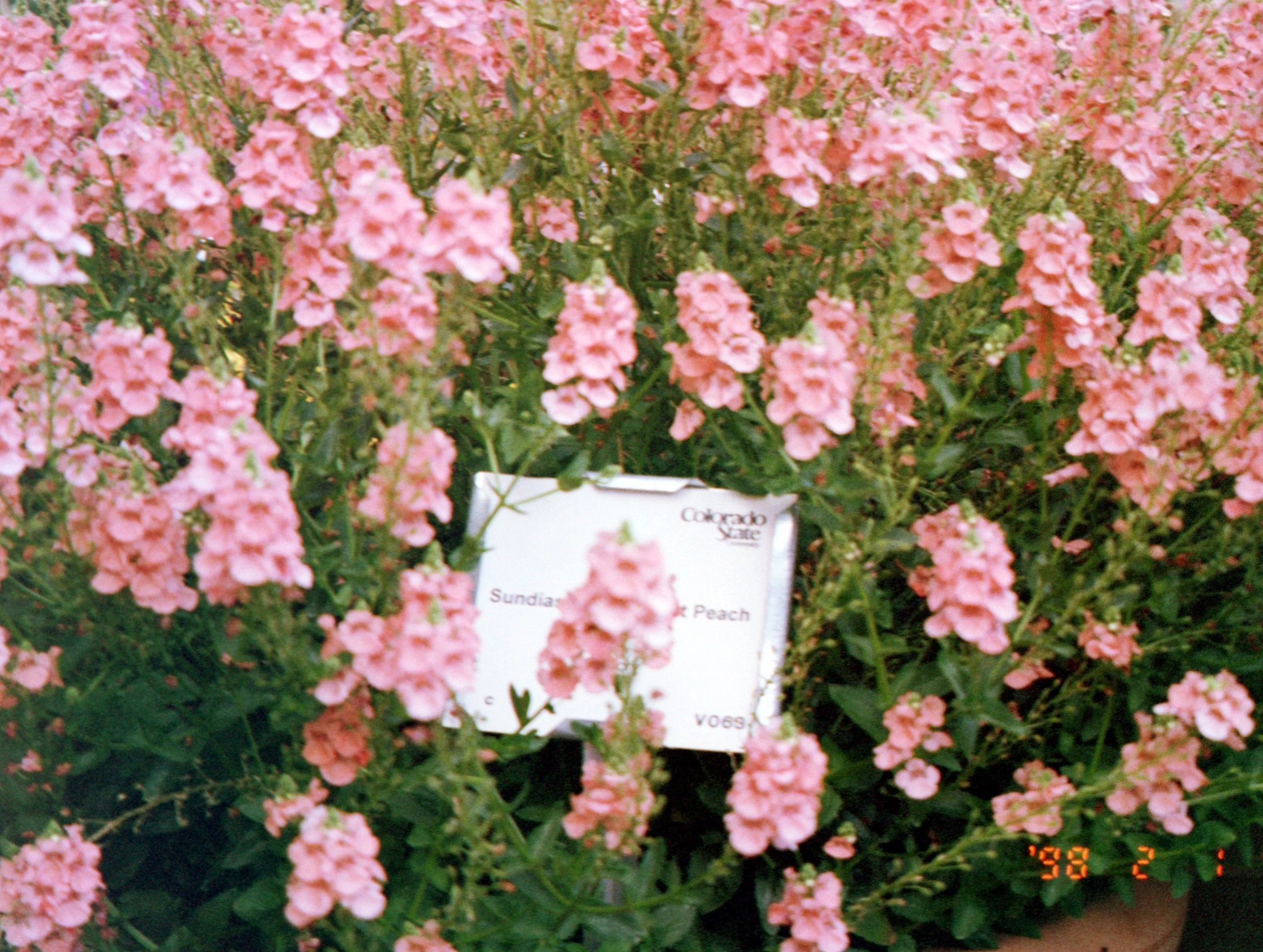 playlist: august 28, 2017