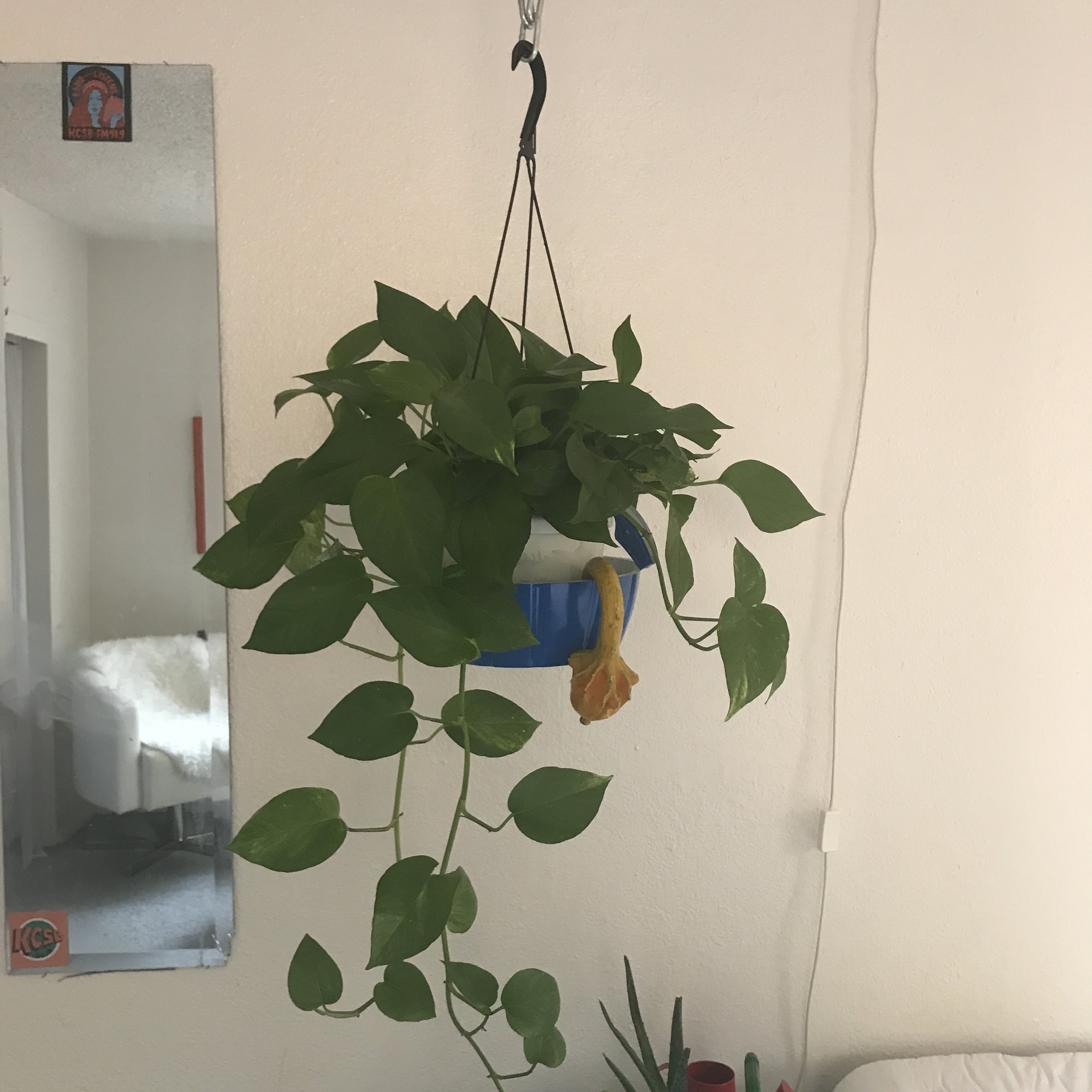 playlist: december 13, 2017