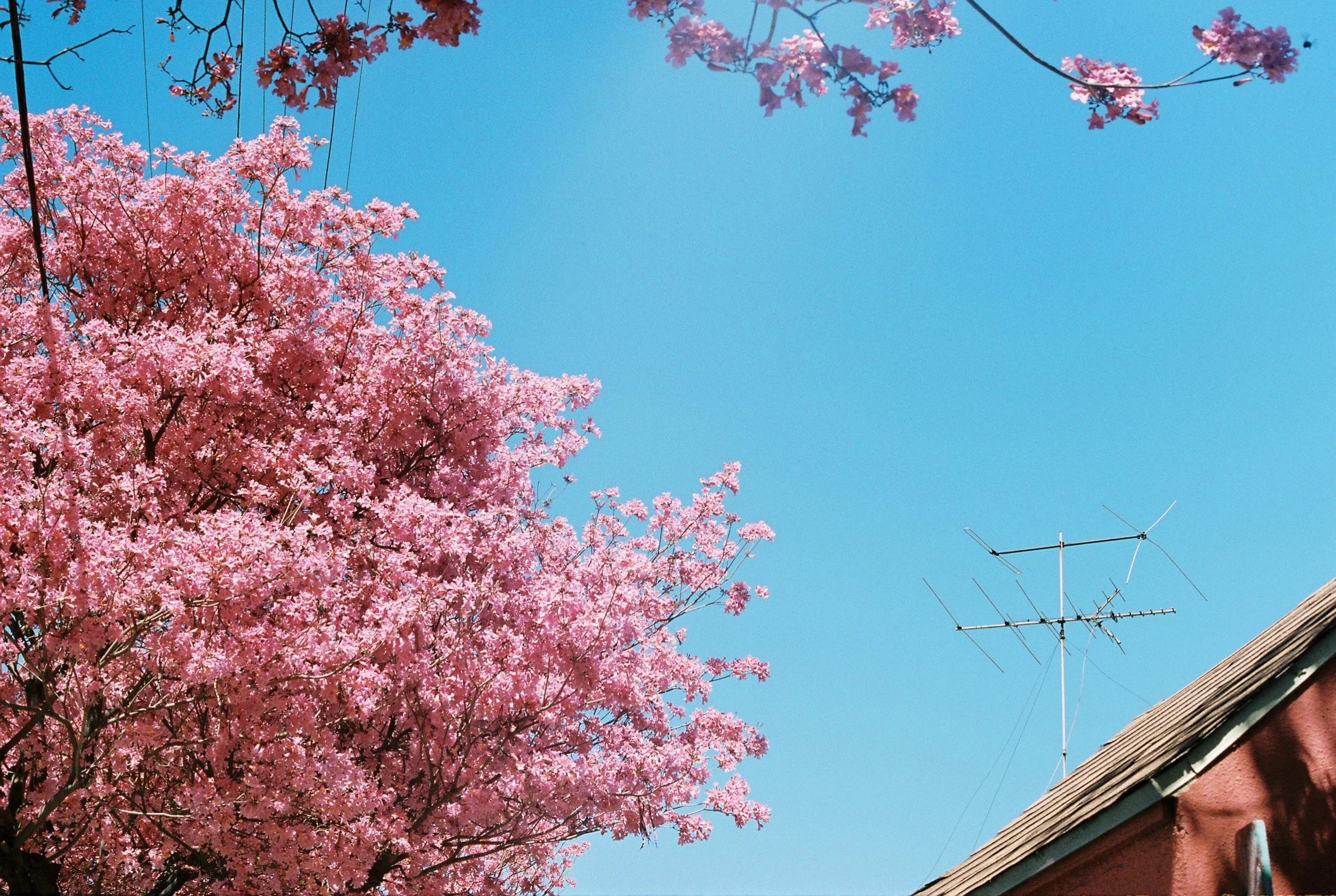 playlist: may 10, 2019