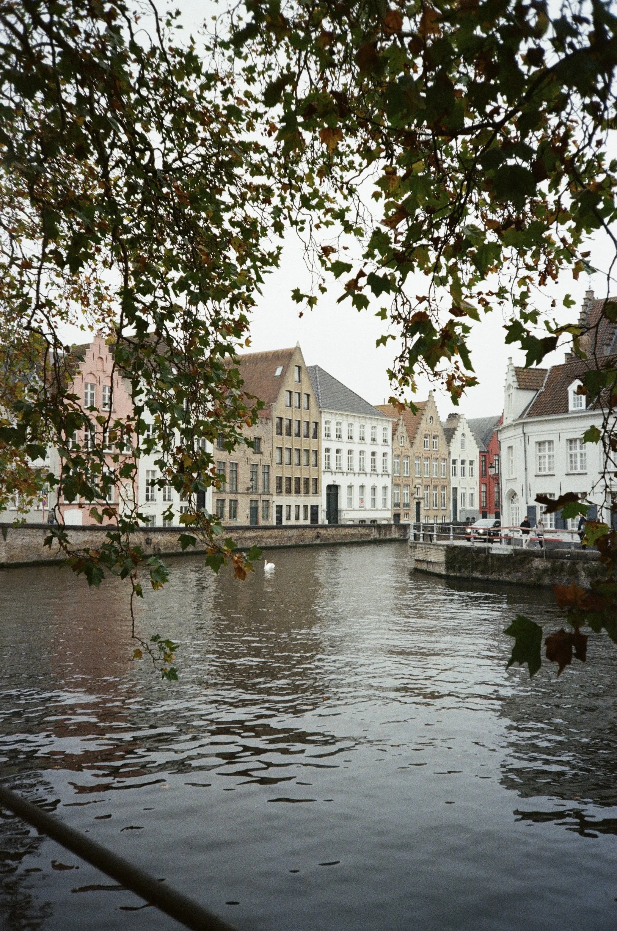 IMG_6341.jpg