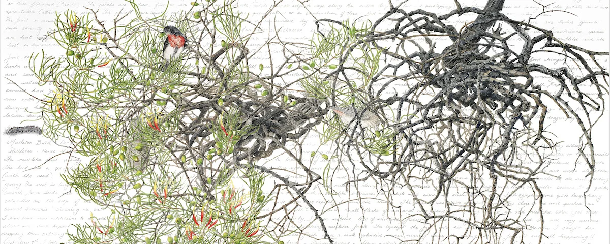 WB_Philippa_Nikulinsky_Mistletoe.jpg