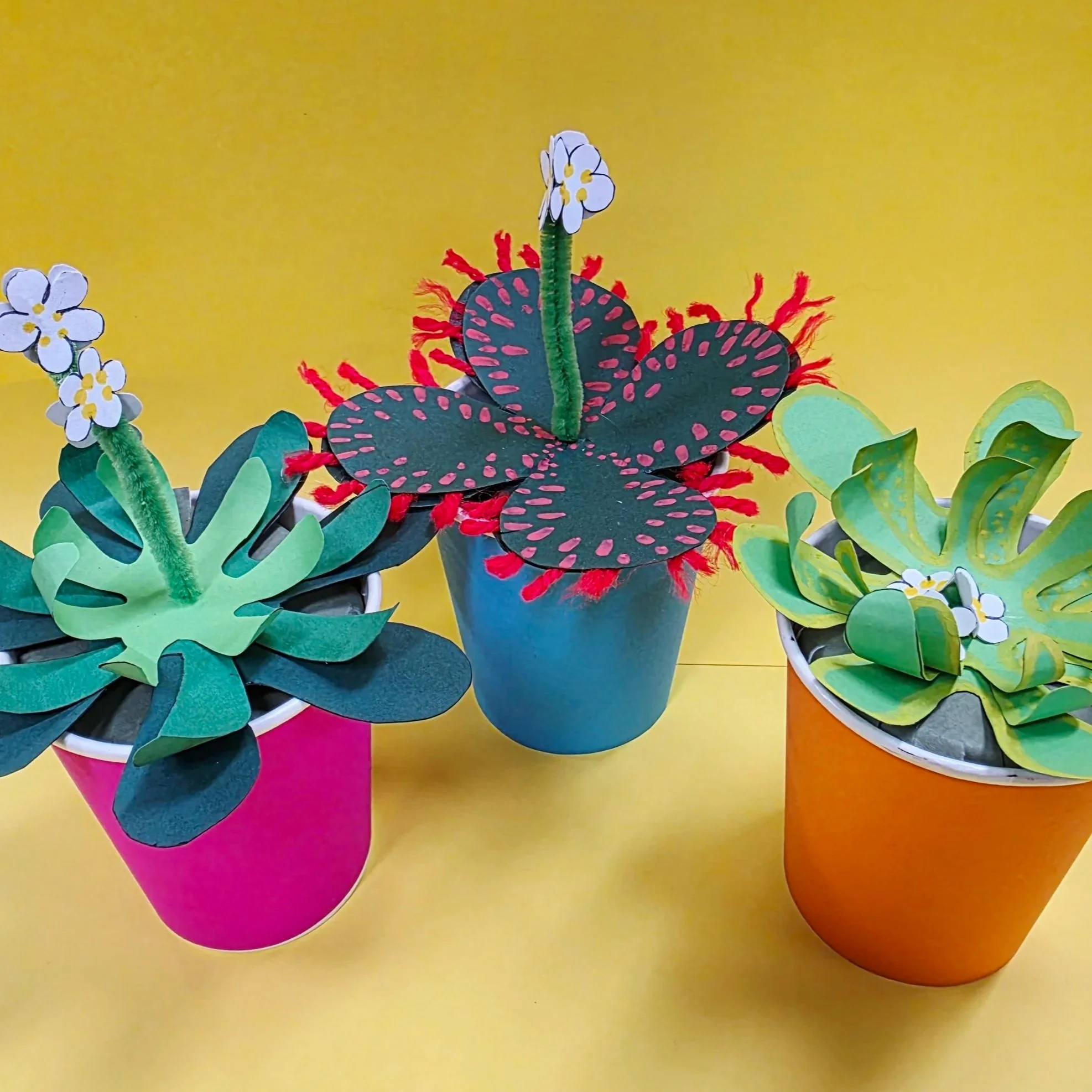 Carnivorous Creations | Dr Laura Skates &amp; Renee Parnell