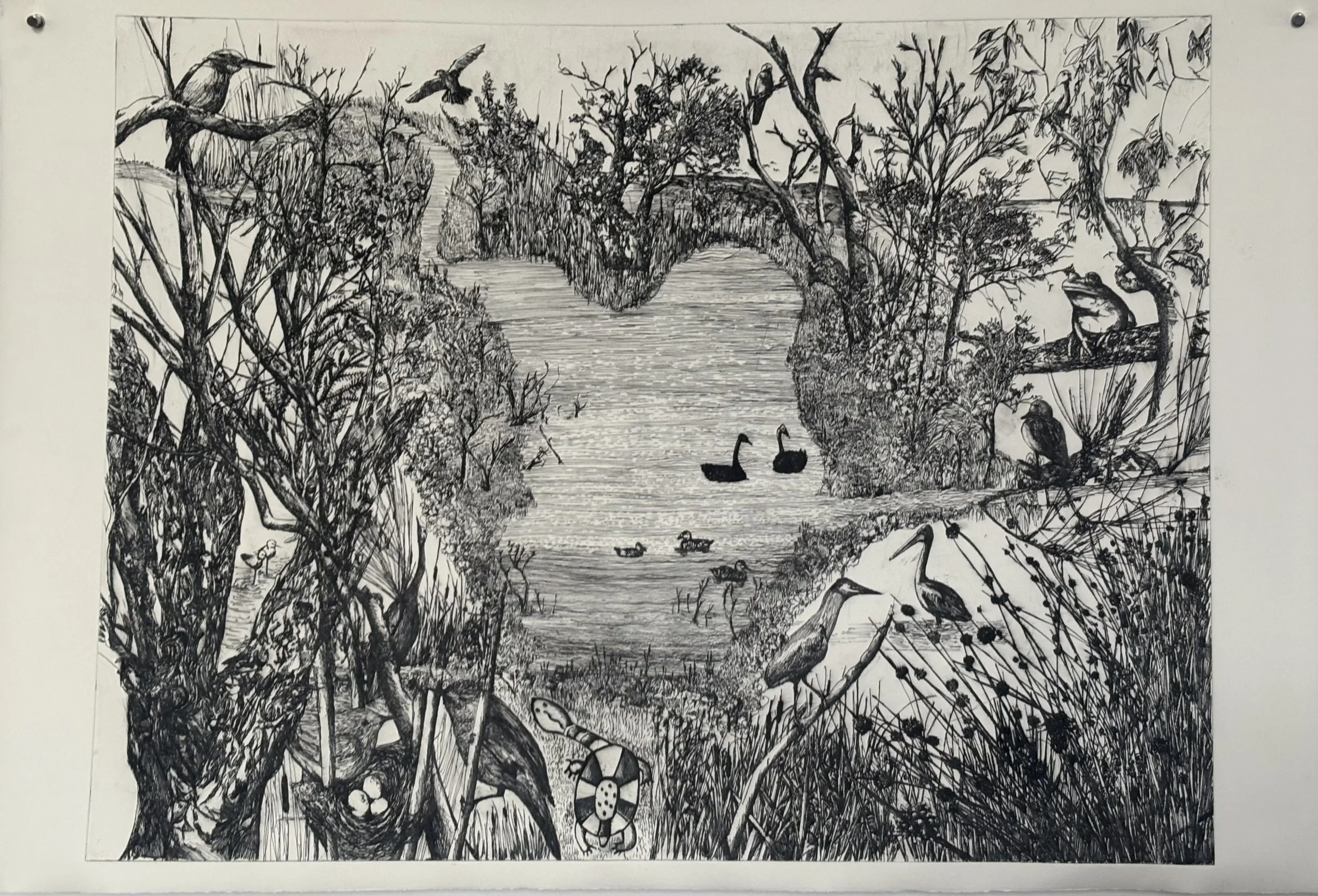 6. Darcy Rankin, 'Blackadder Wetland – “That looks wicked Darce.”' 2026, drypoint etching, 80 x 120 cm. POA.